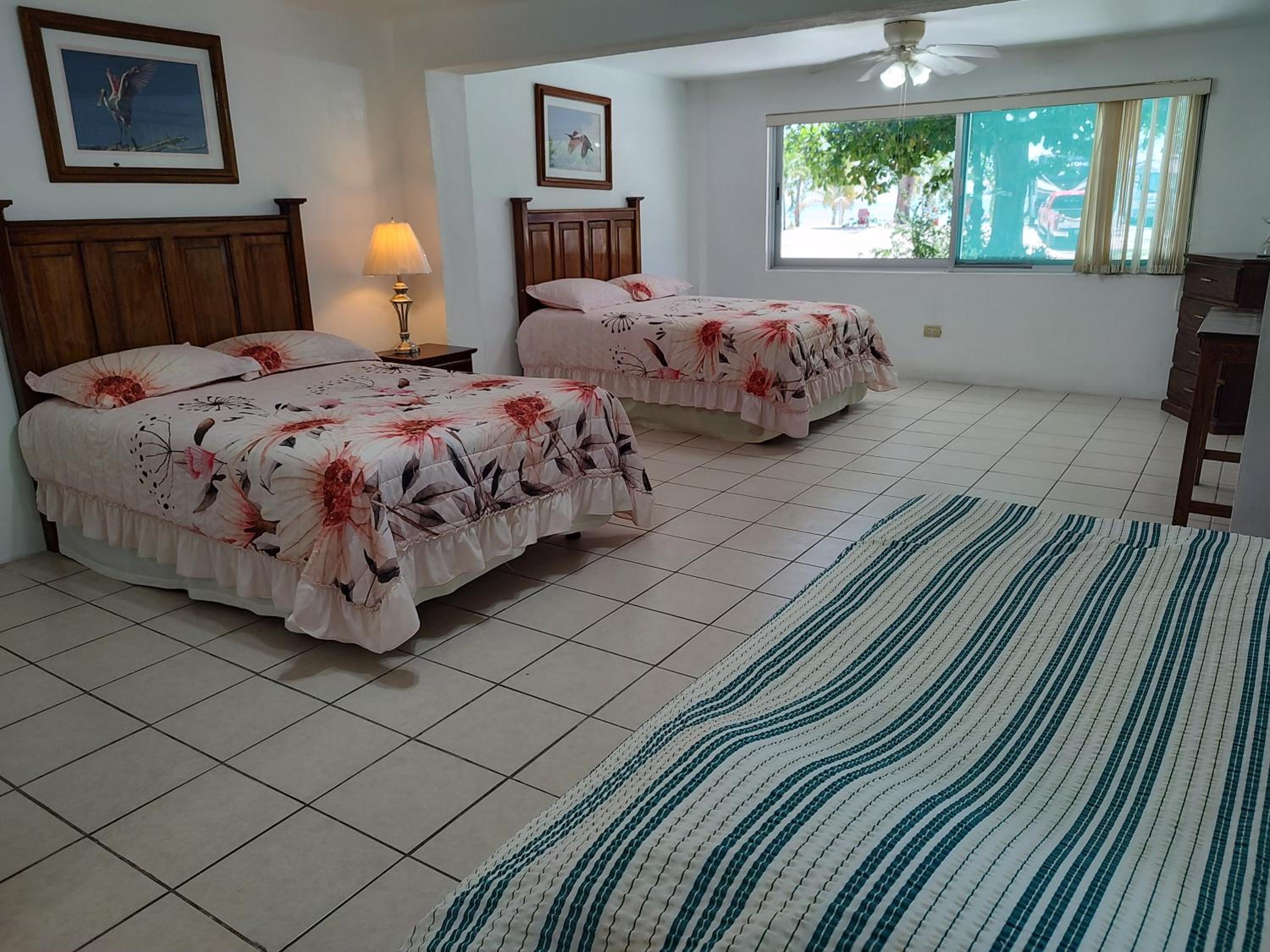 Double Room with Garden View photo 3