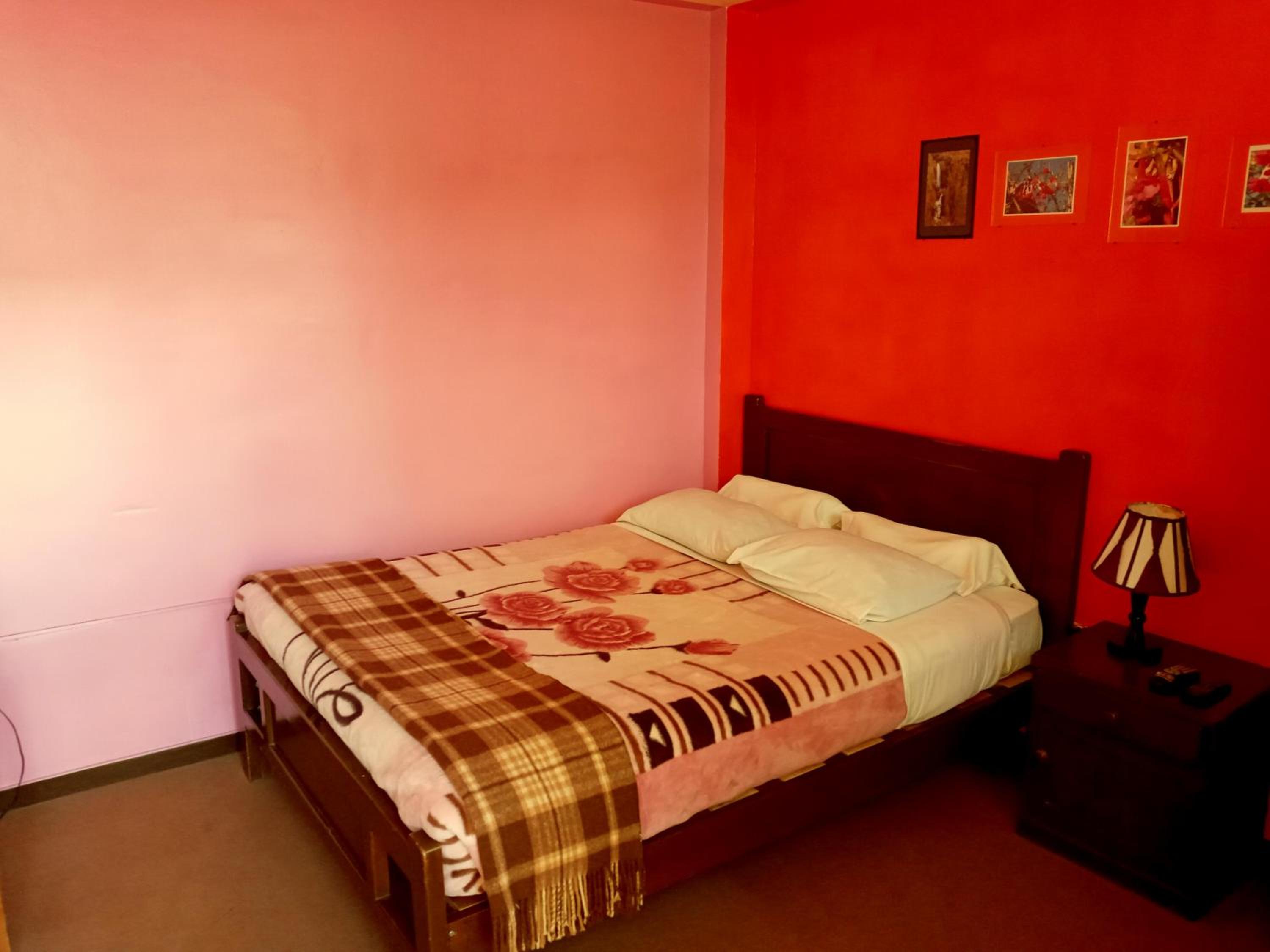 Double Room with Garden View photo 3