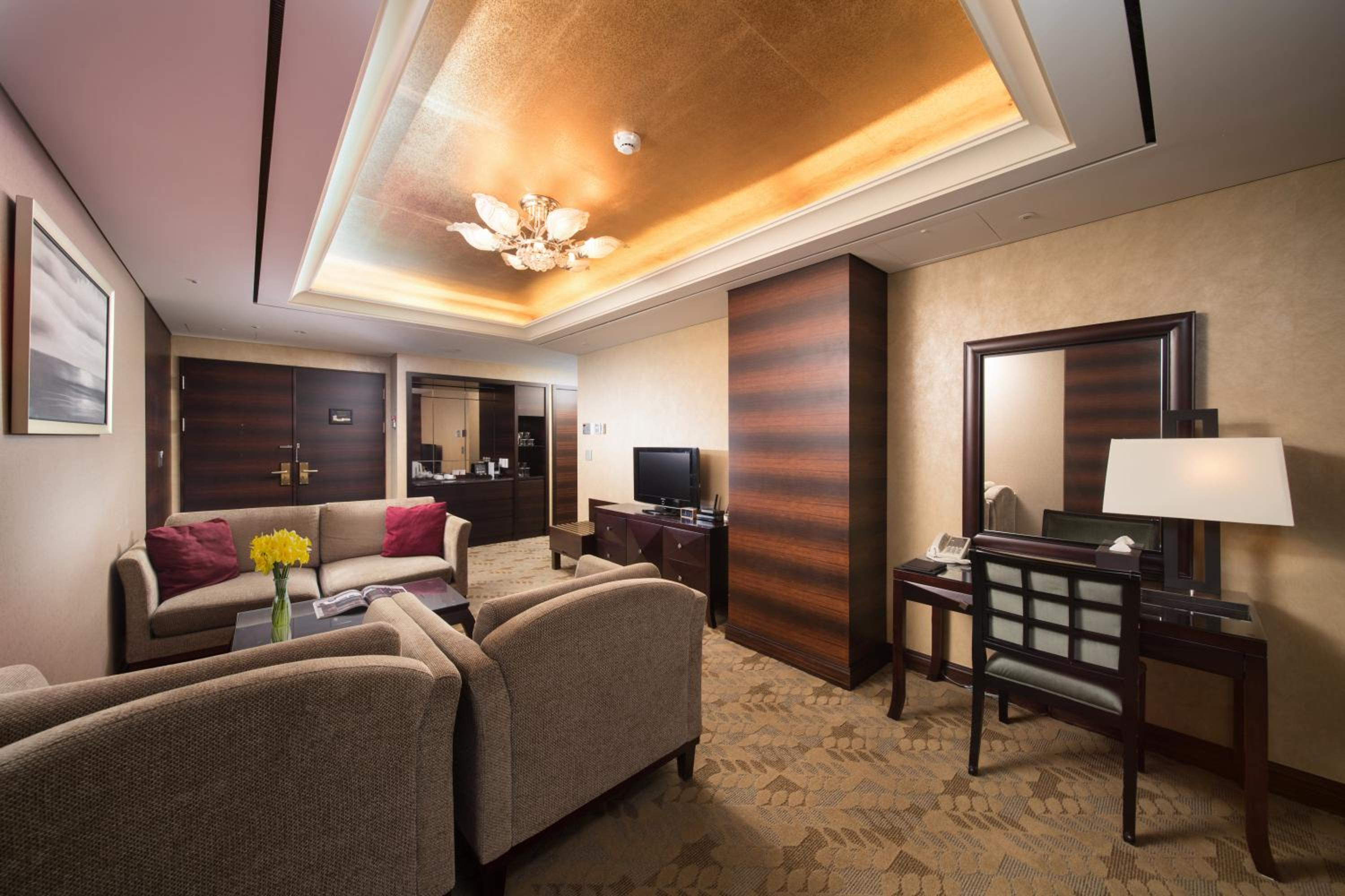 Premium Suite - Photo 6