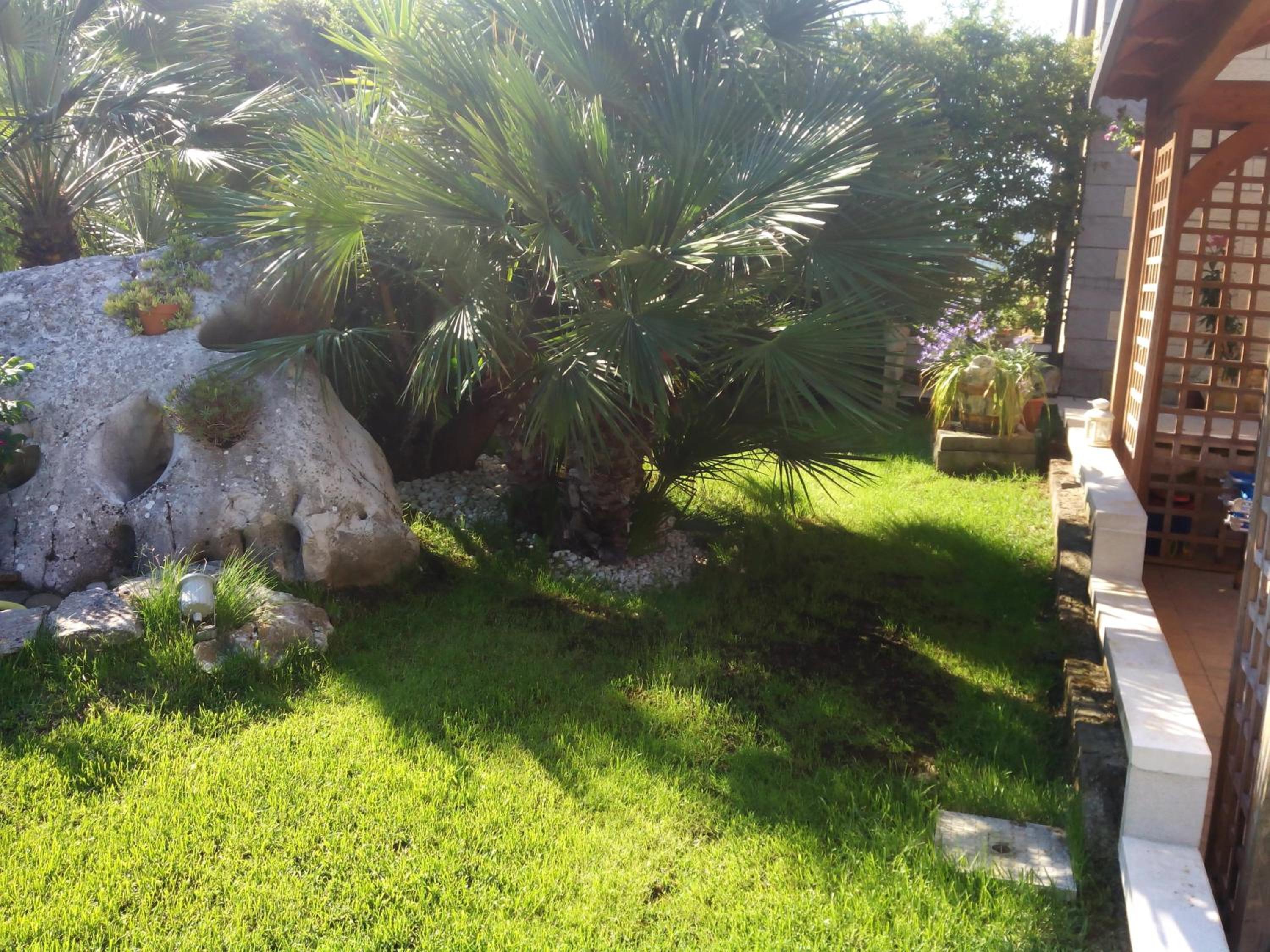 Superior Apartment photo 2