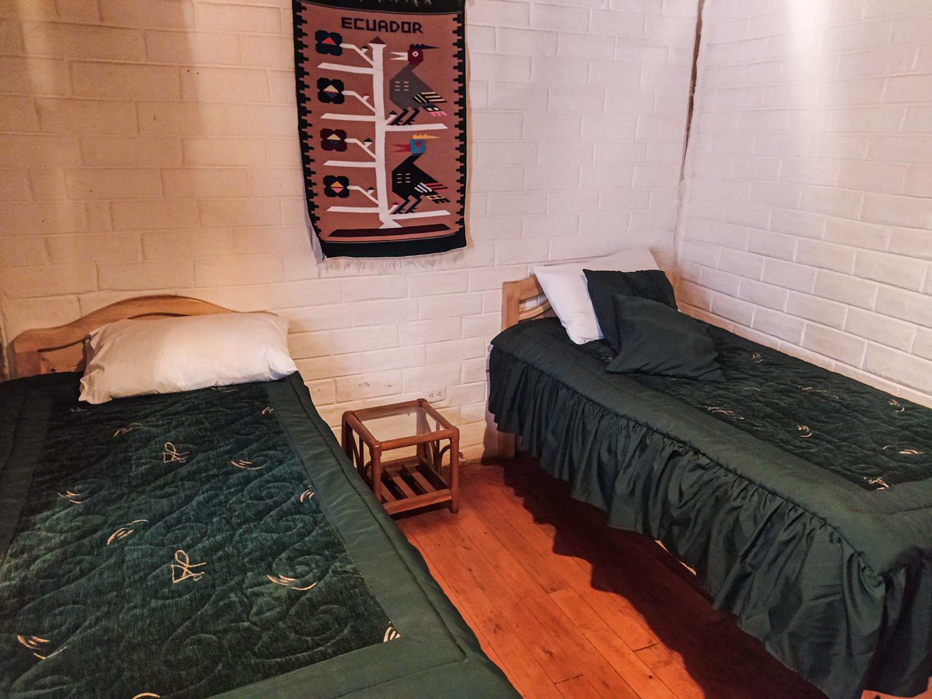 Twin Room photo 2