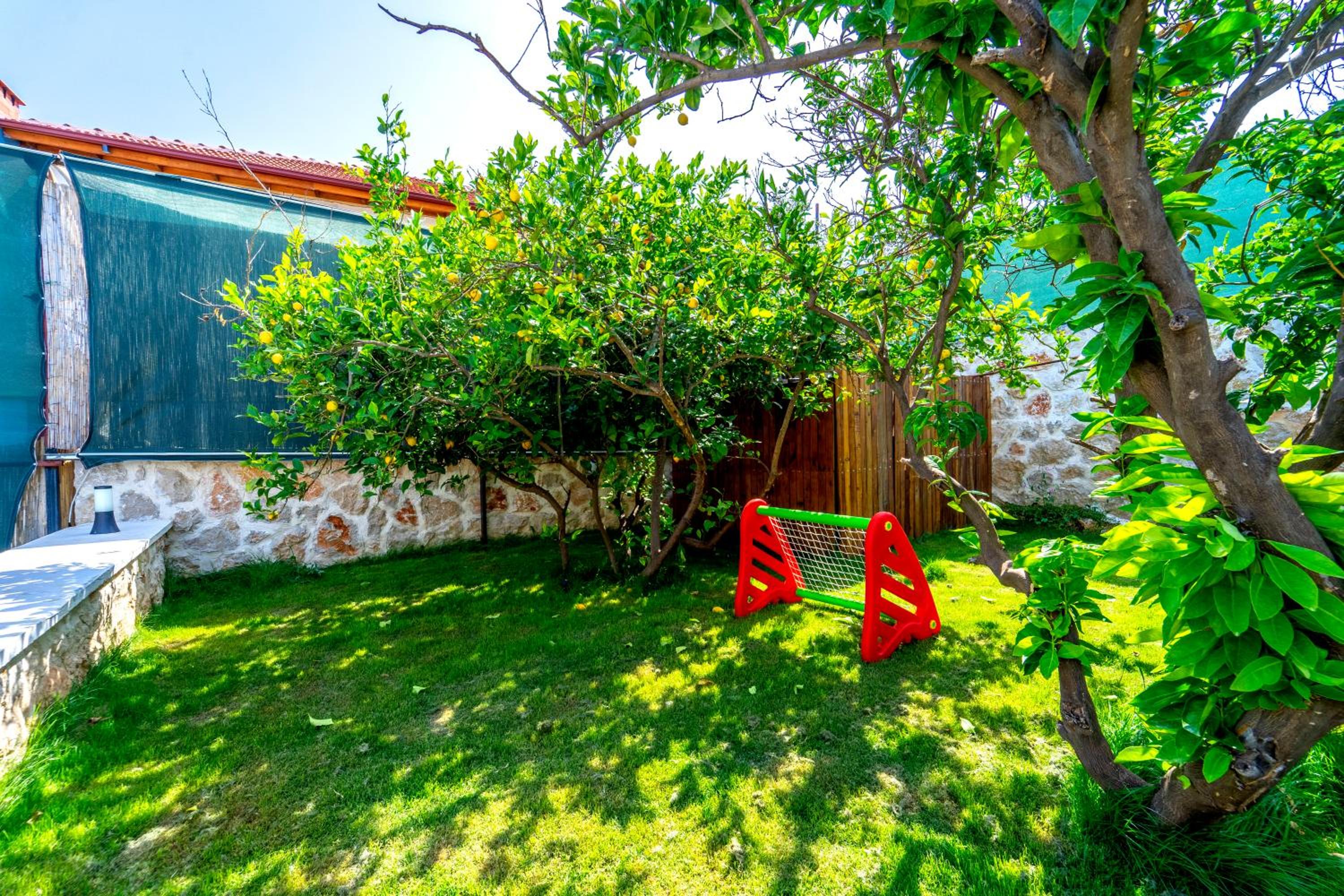 Three-Bedroom Villa photo 3