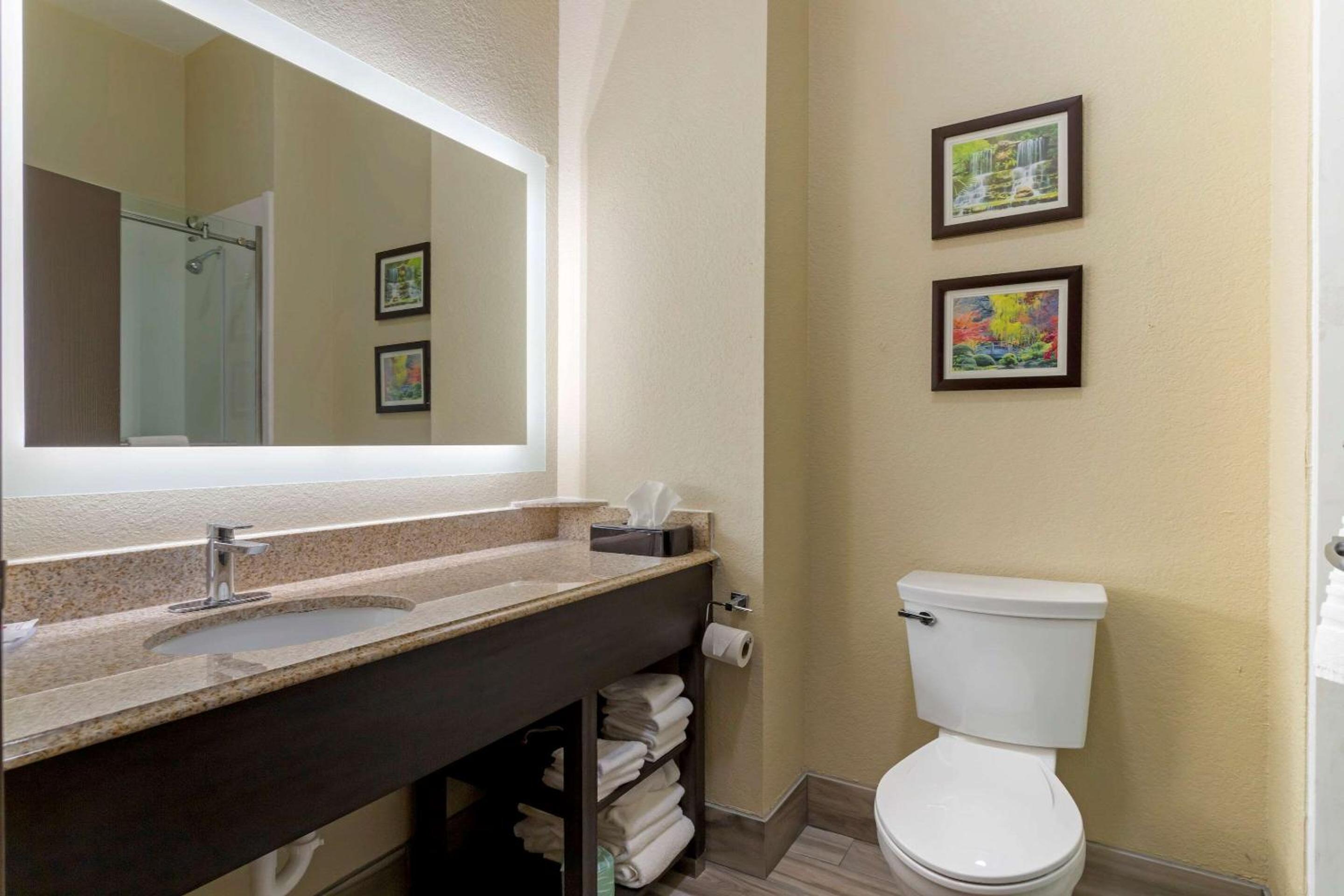 King Suite - Non-Smoking - Photo 3