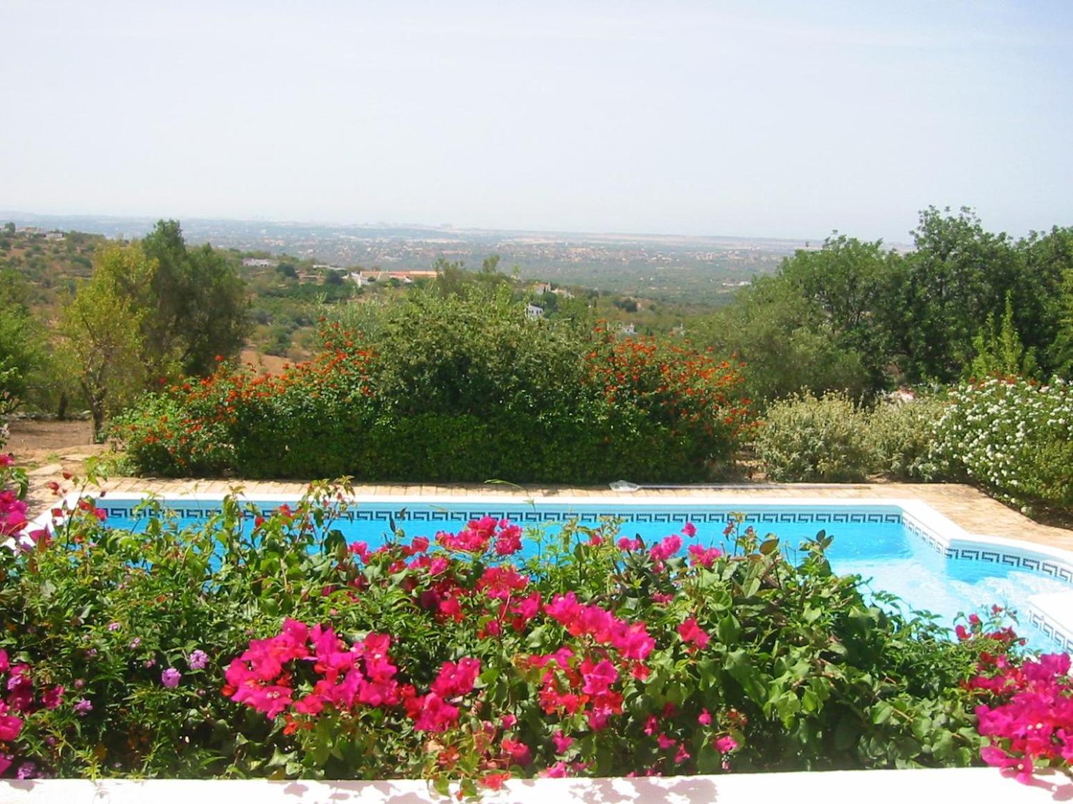 Villa With Sea View photo 3
