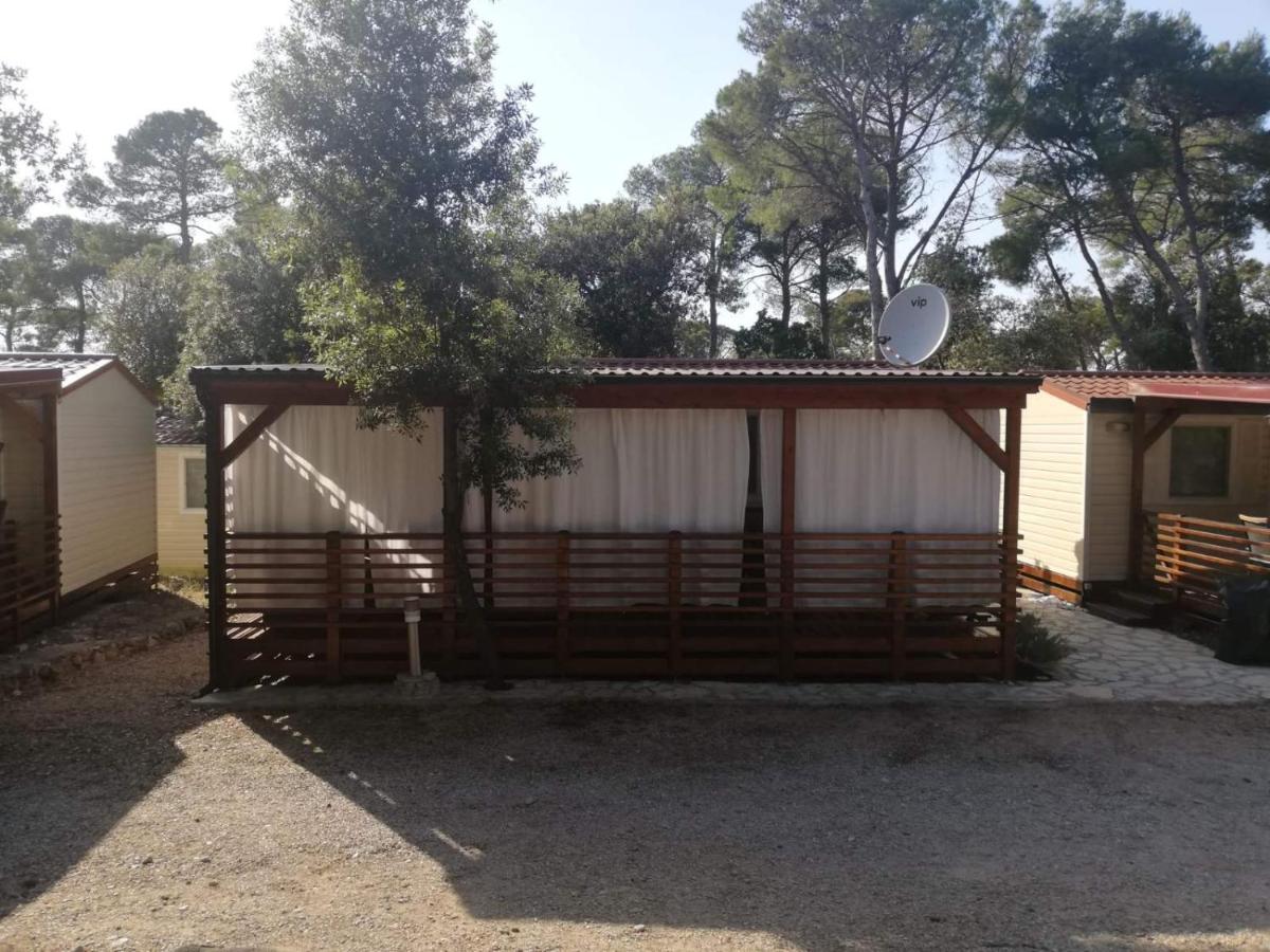 Mobile Home
