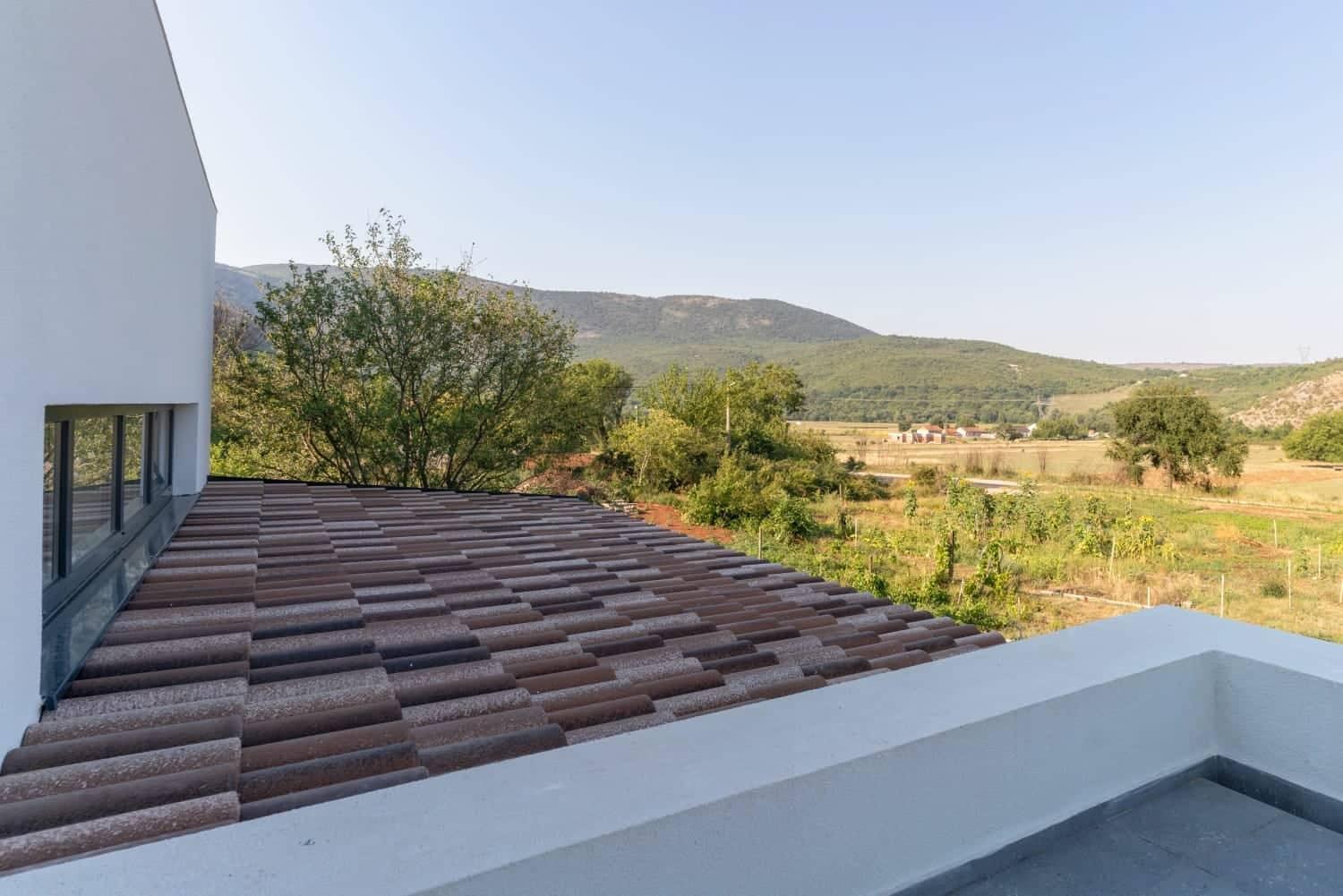 Studio with Terrace photo 3