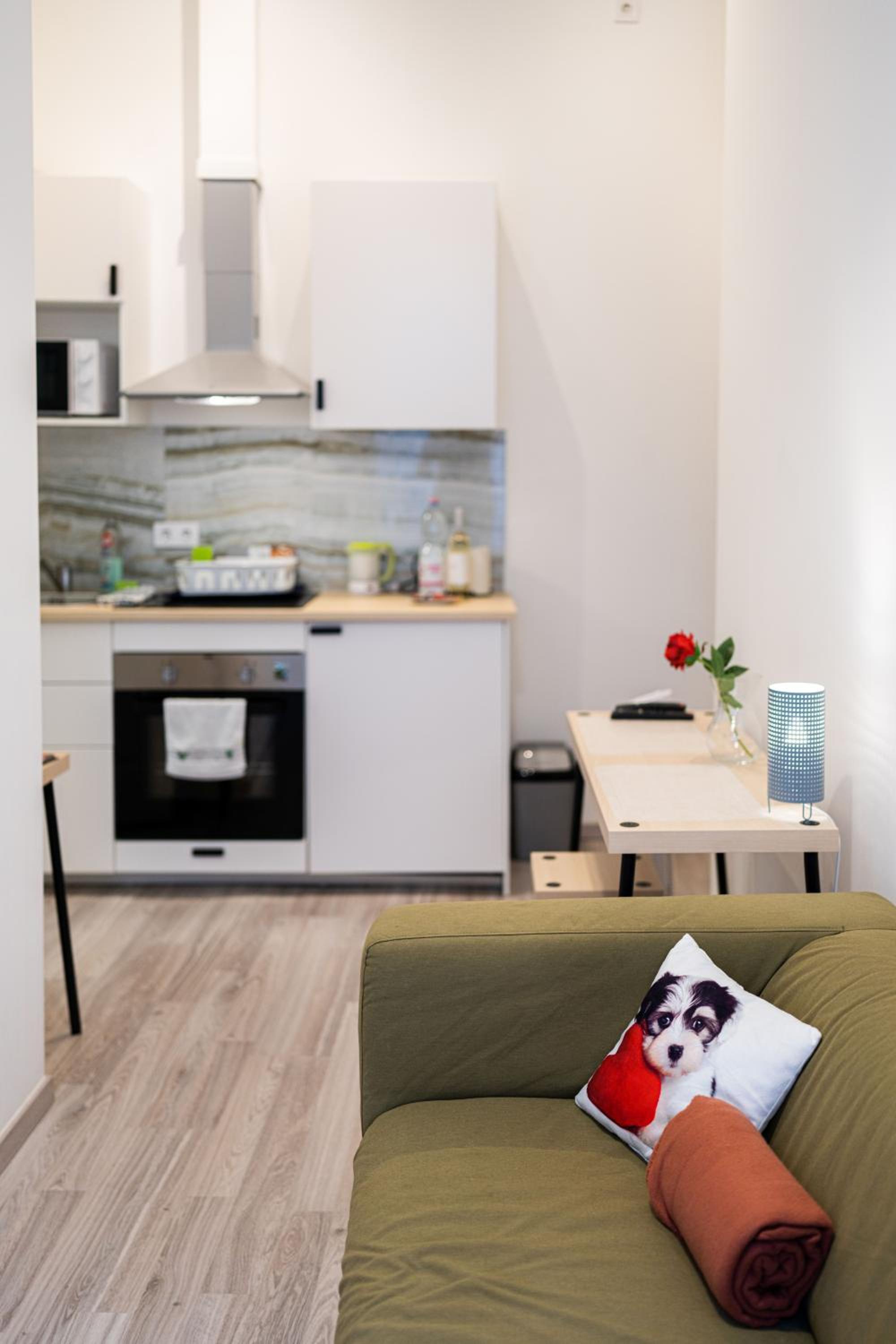 One-Bedroom Apartment thumbnail 5