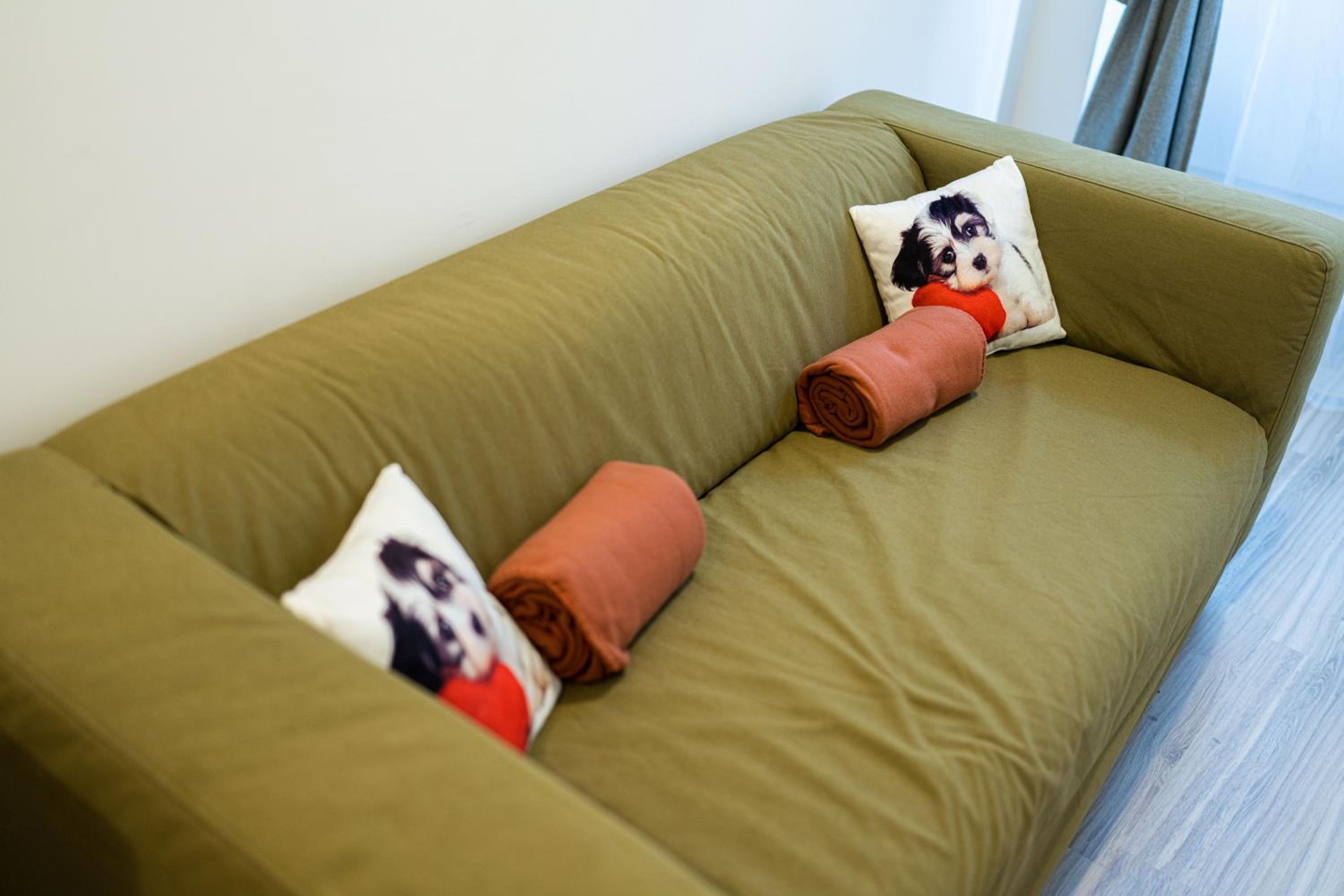 One-Bedroom Apartment thumbnail 6