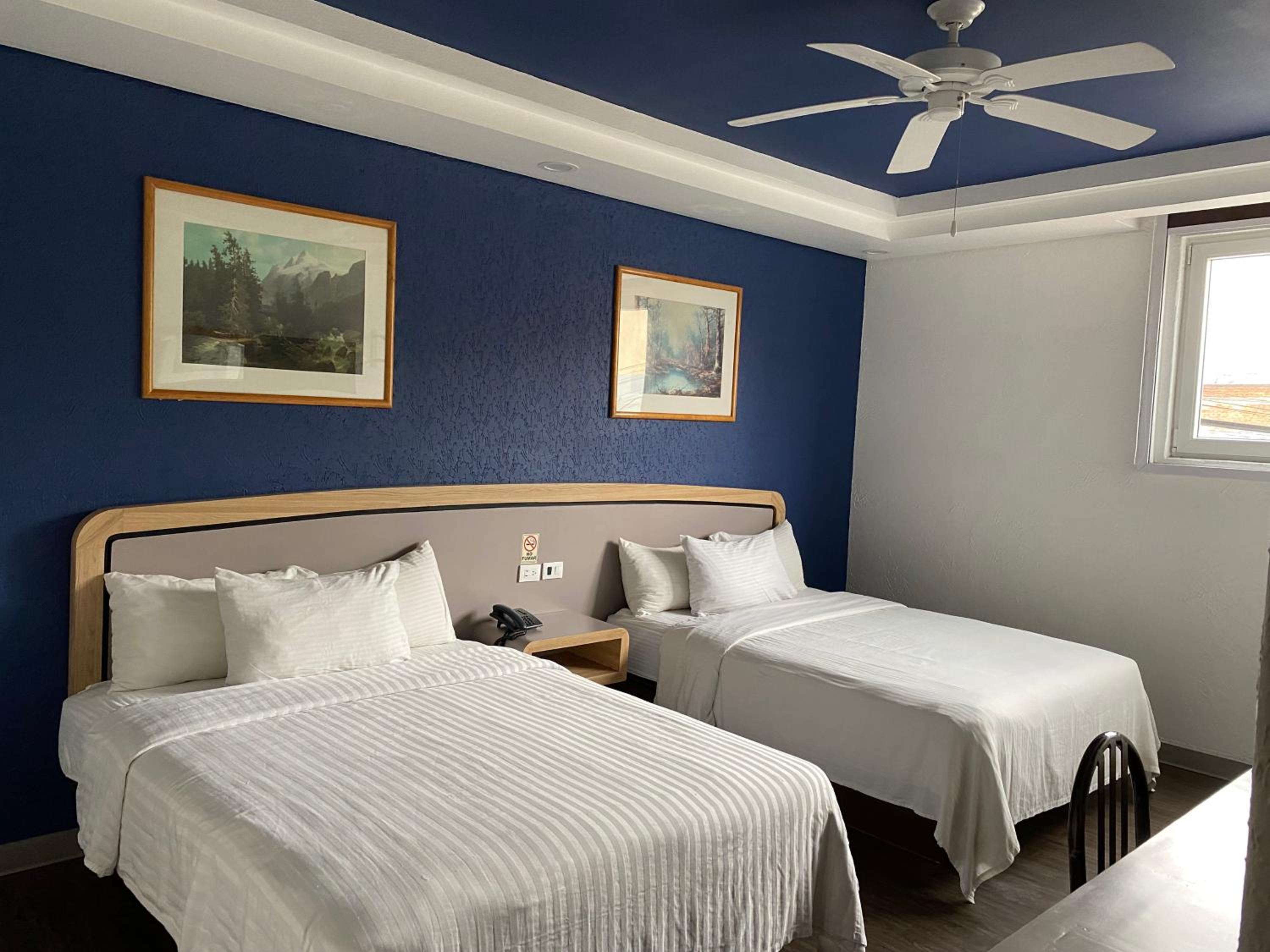 Twin Room - Photo 4