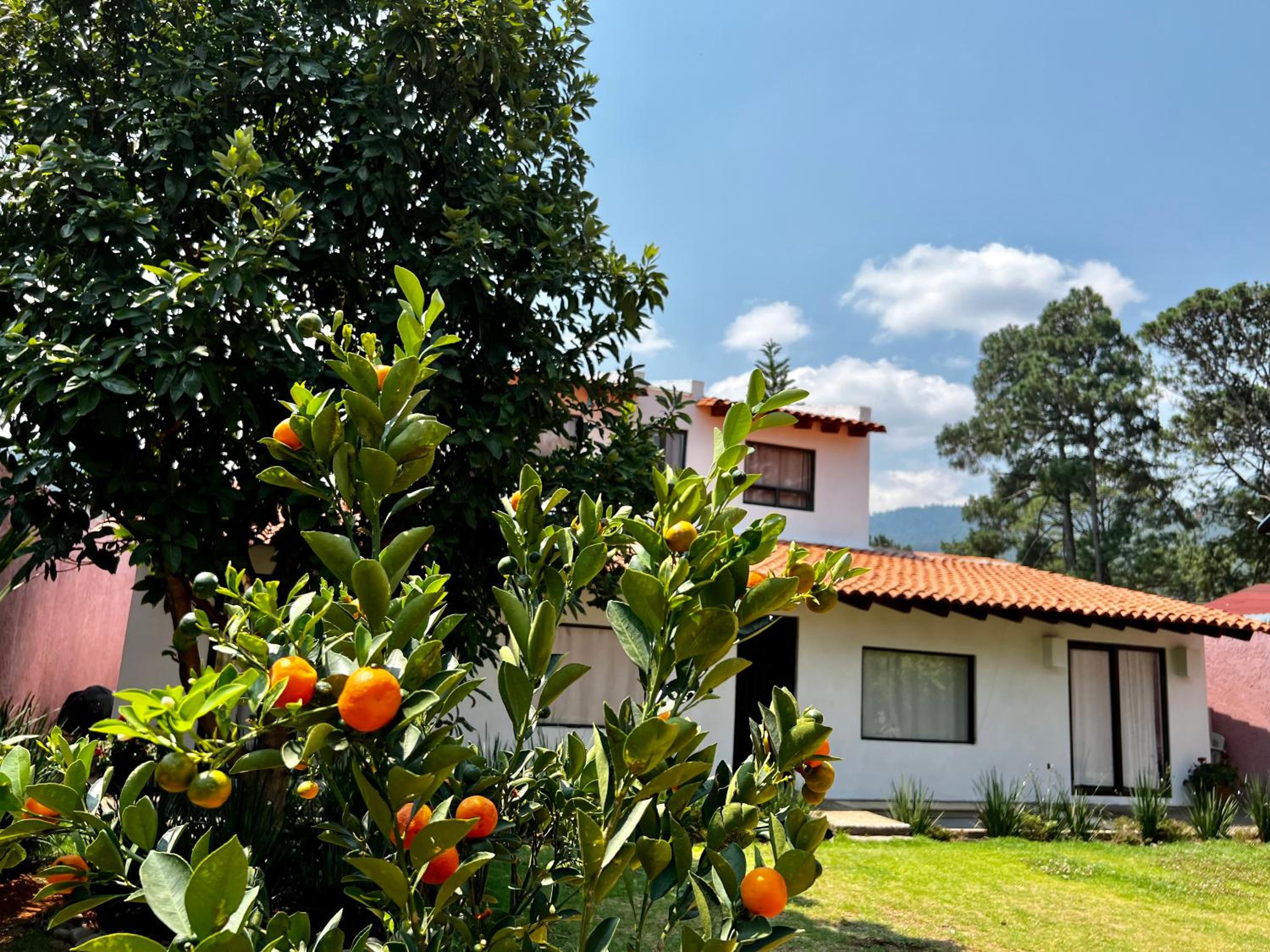 Four-Bedroom House - Photo 6