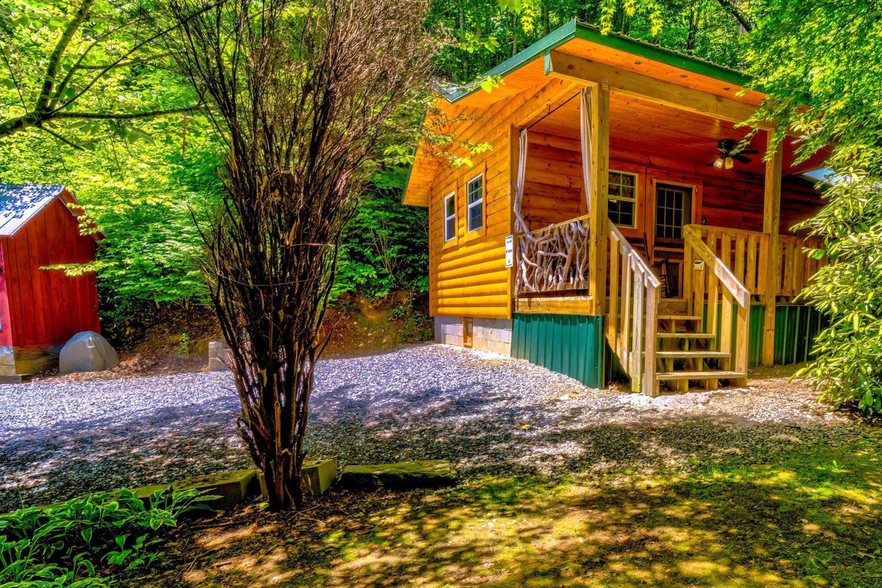 Mt. Springs (One-Bedroom Chalet) photo 2