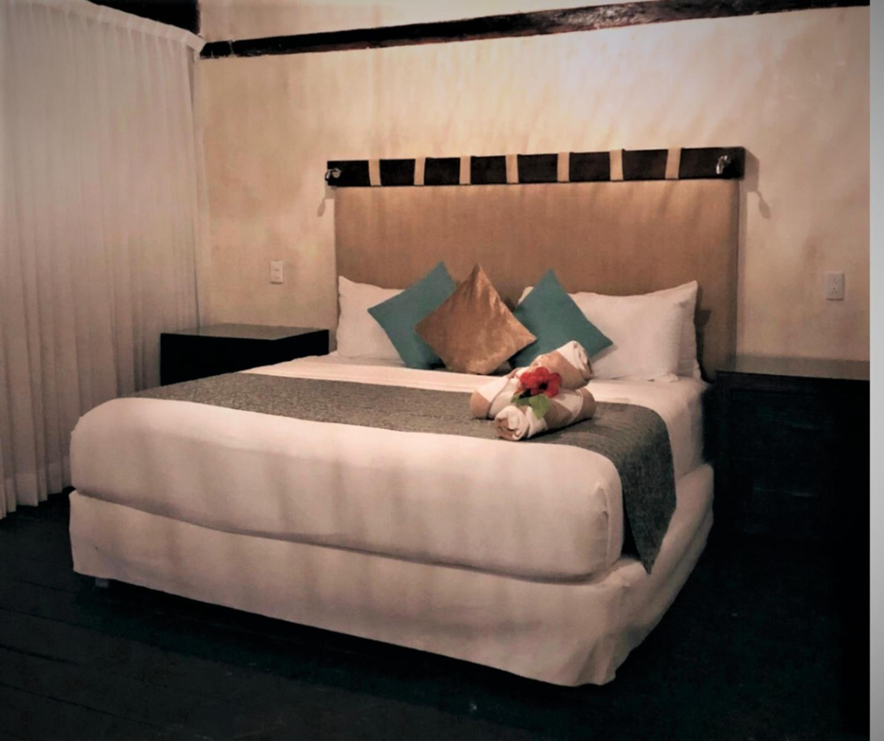 Junior Suite with Garden View - Photo 1