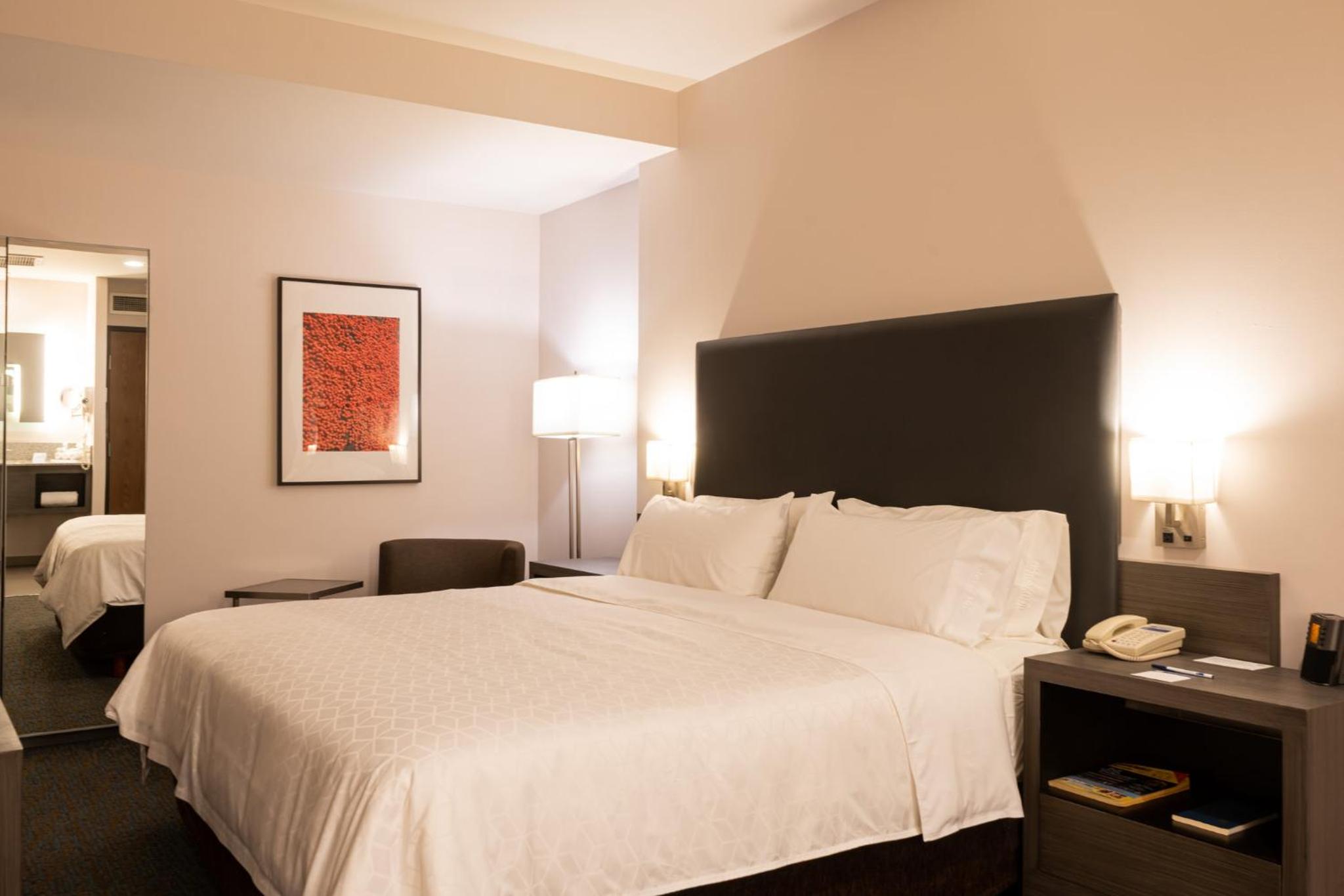 One-Bedroom King Suite photo 2