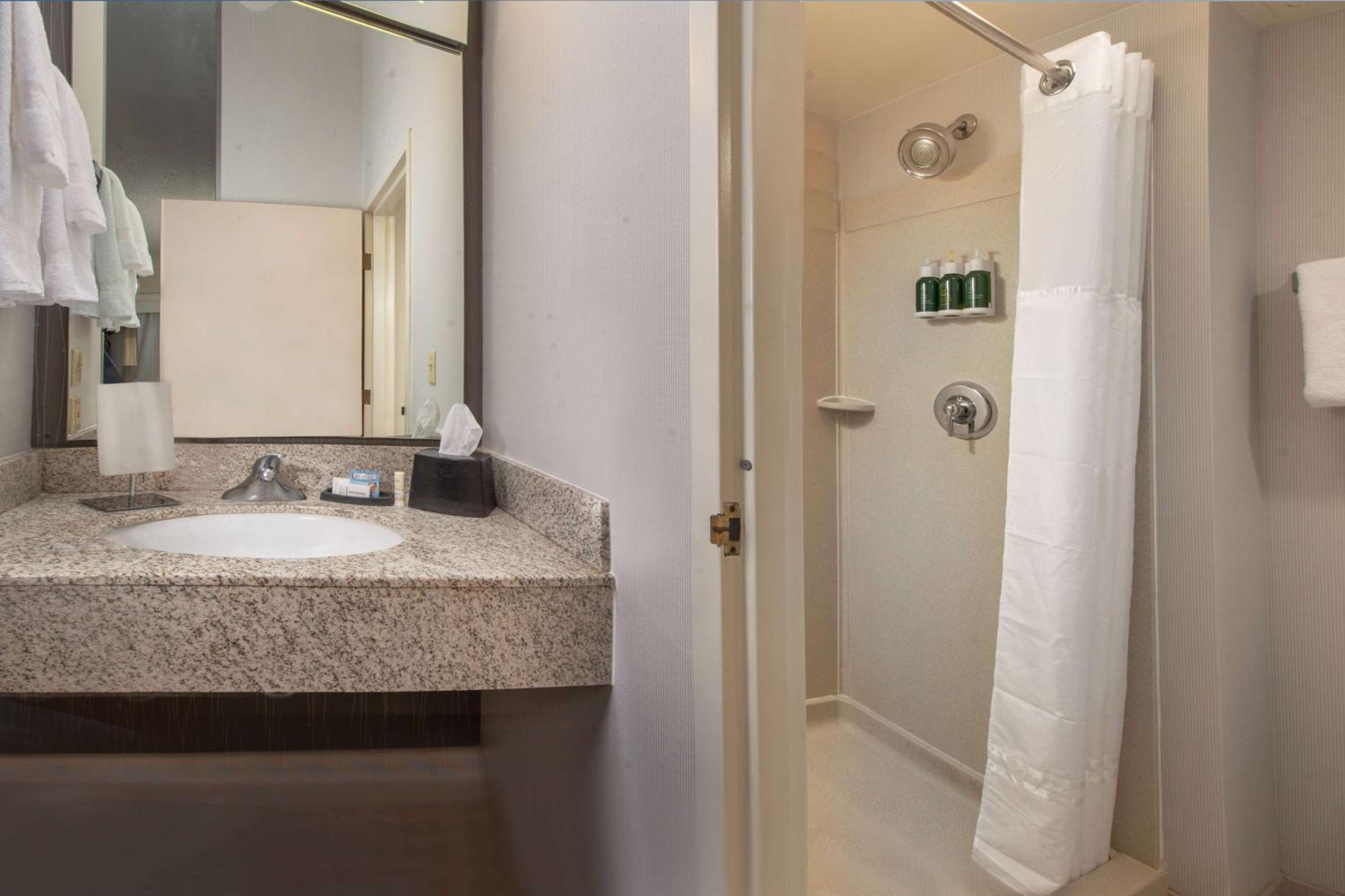 Deluxe King With Roll-In Shower - Mobility/Hearing Accessible