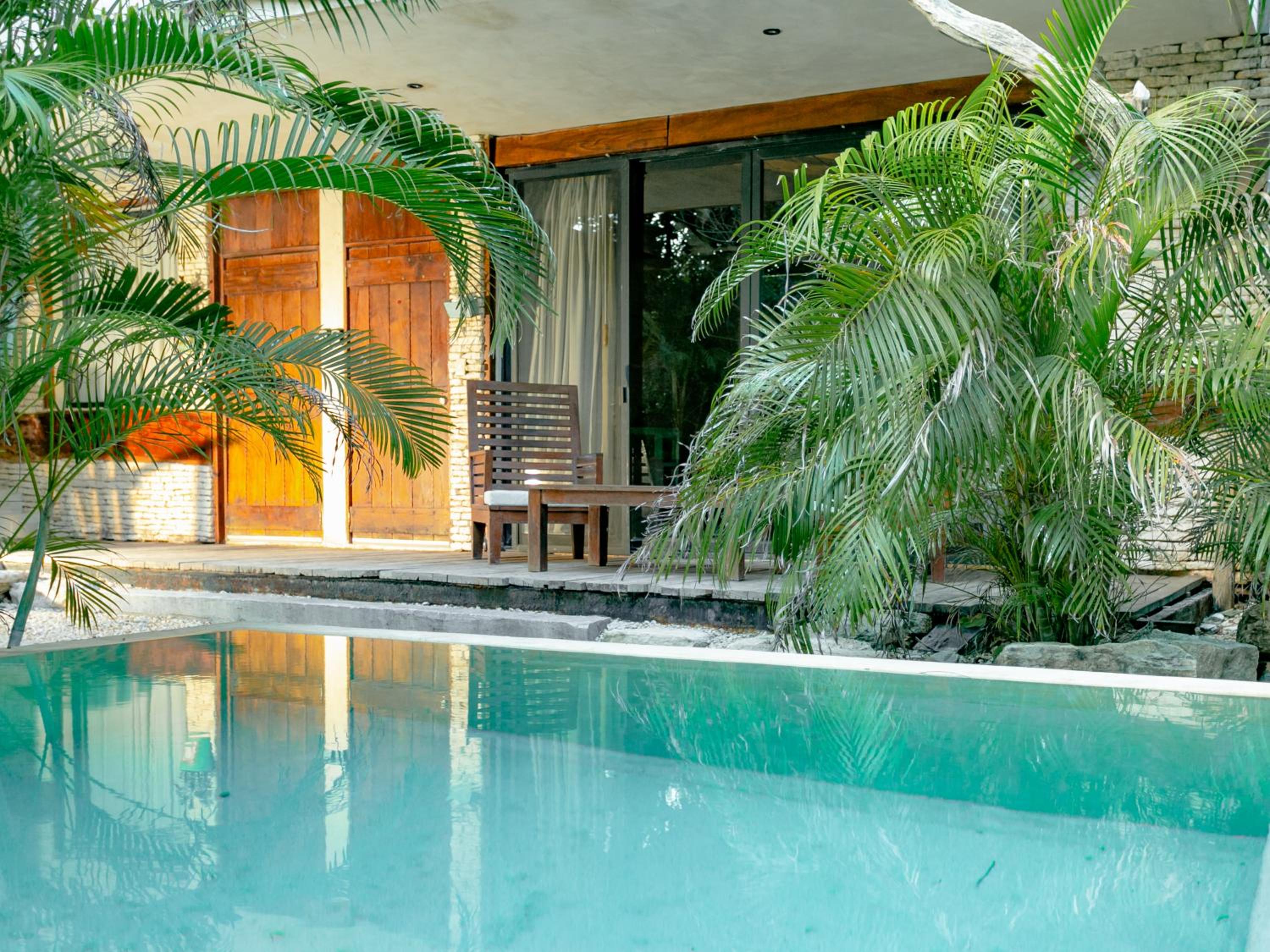 Studio with Terrace and Jungle View - Photo 2