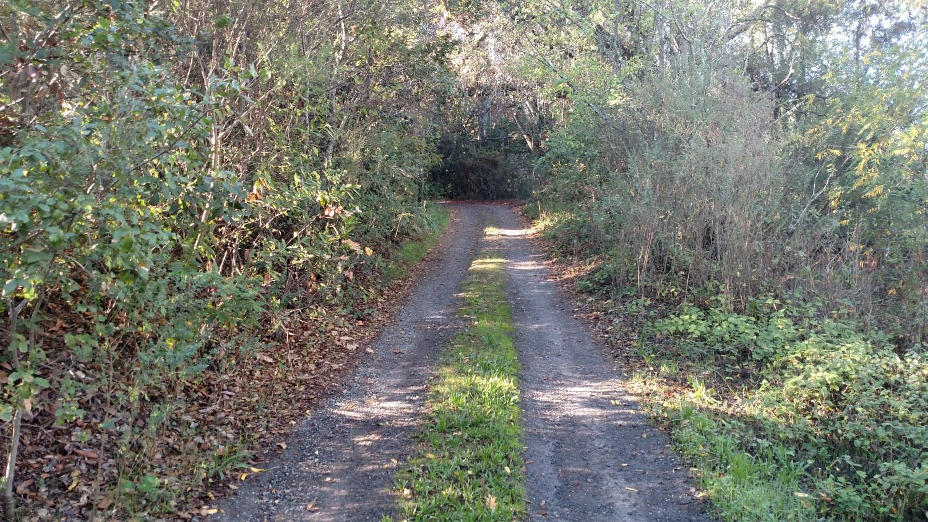 Cottage photo 3