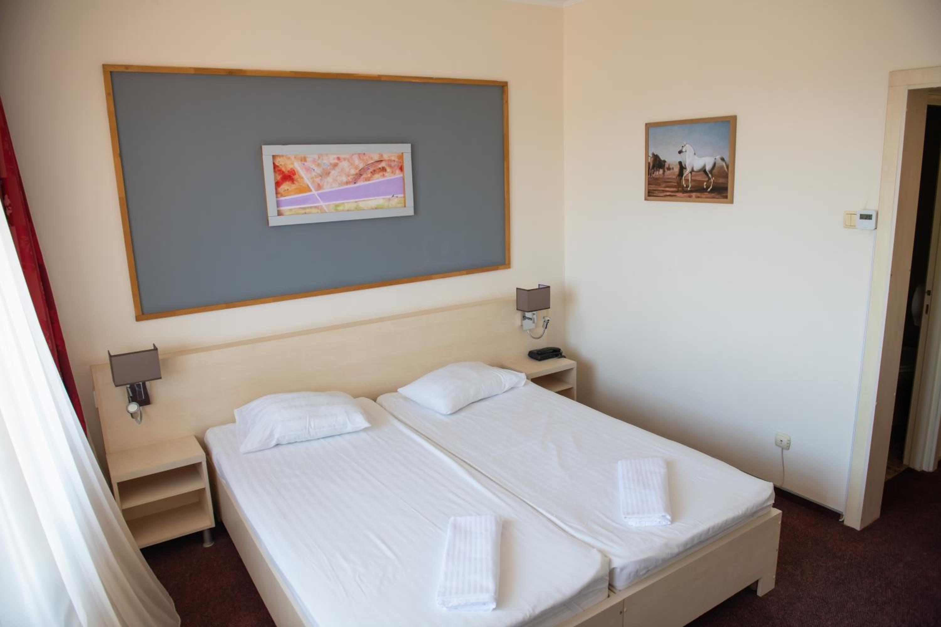 Double or Twin Room photo 3