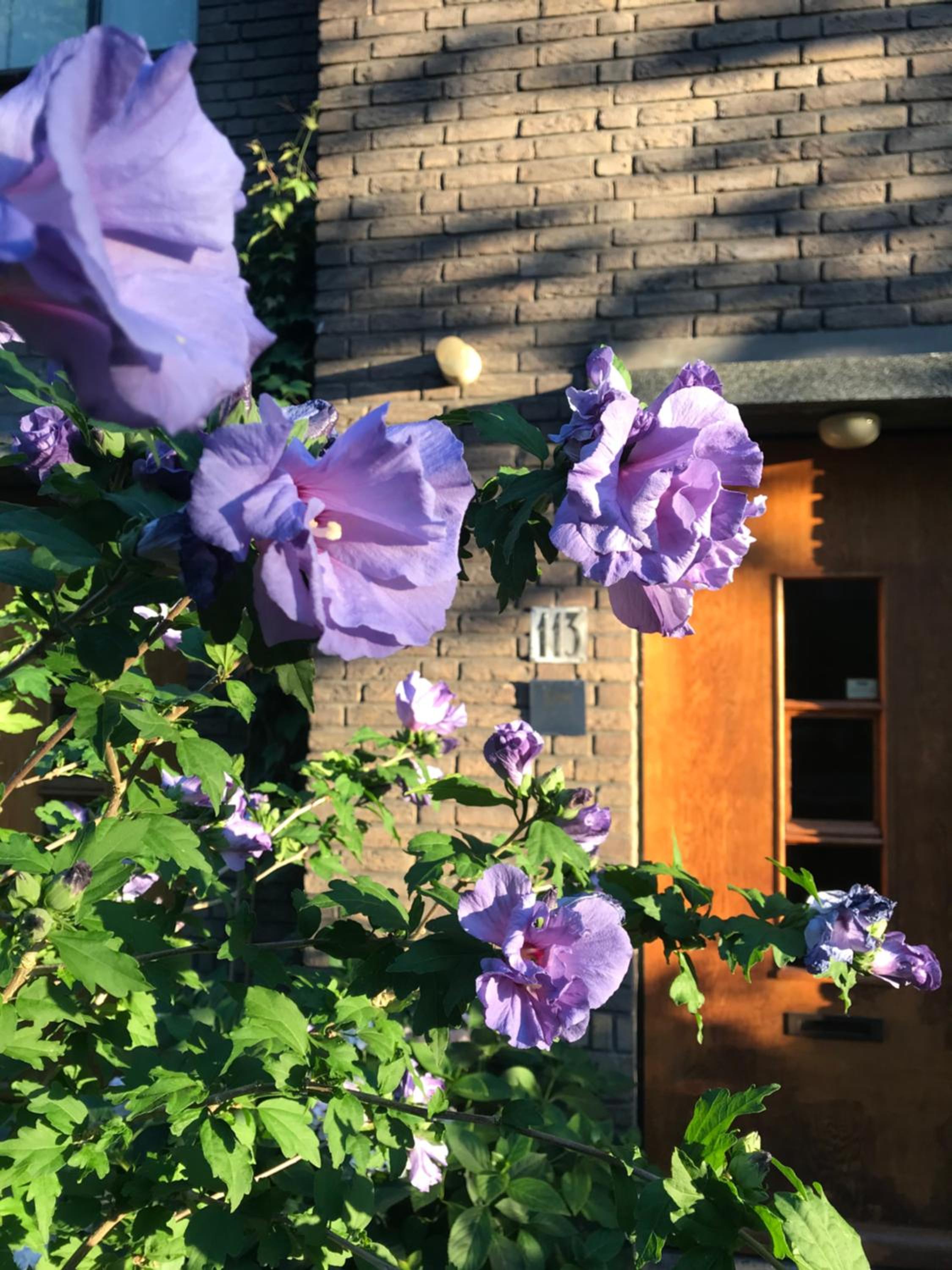 Eikenburg B&B, Foto 8