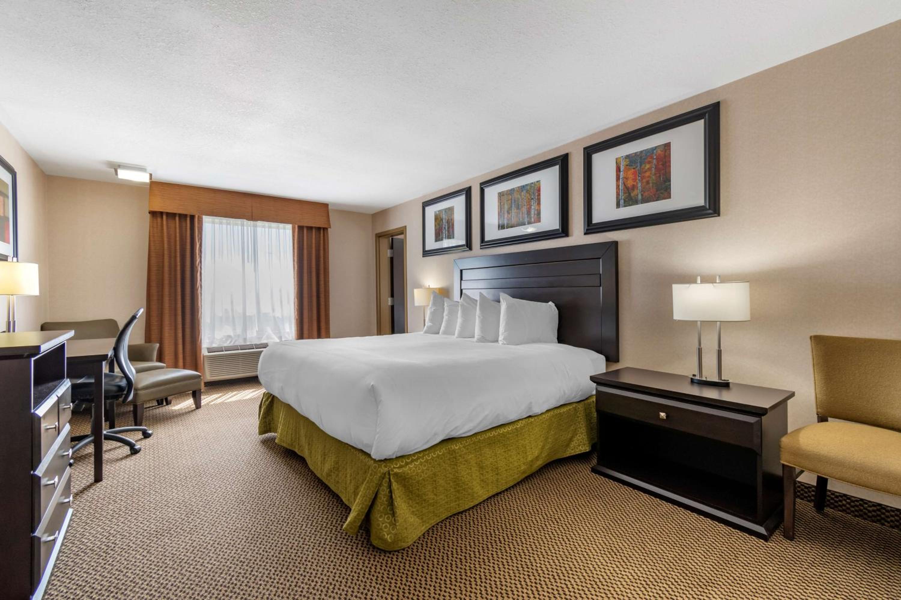 One-Bedroom Suite - Non-Smoking