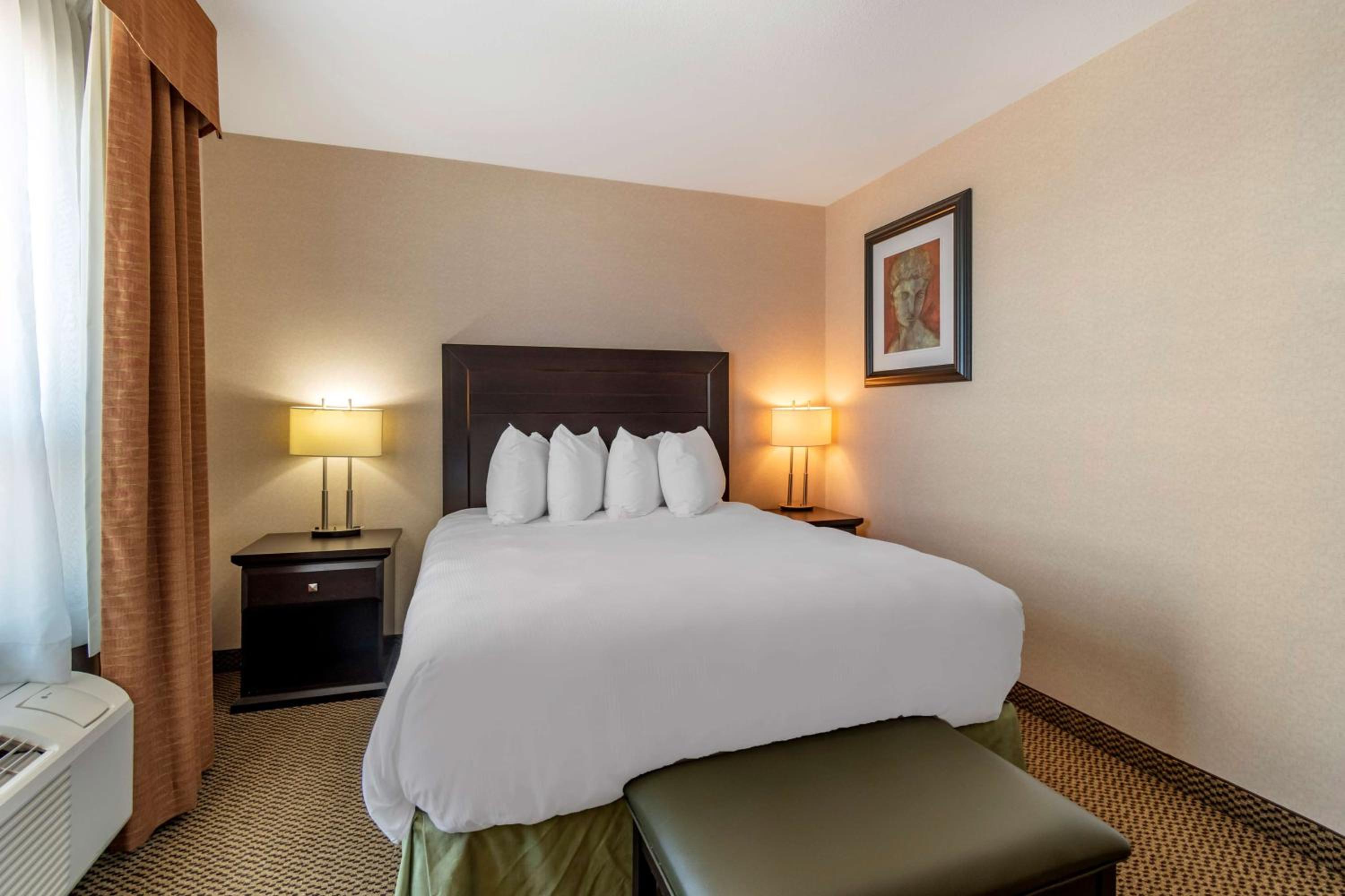 Queen Room with Roll-In Shower - Mobility Accessible/Non-Smoking