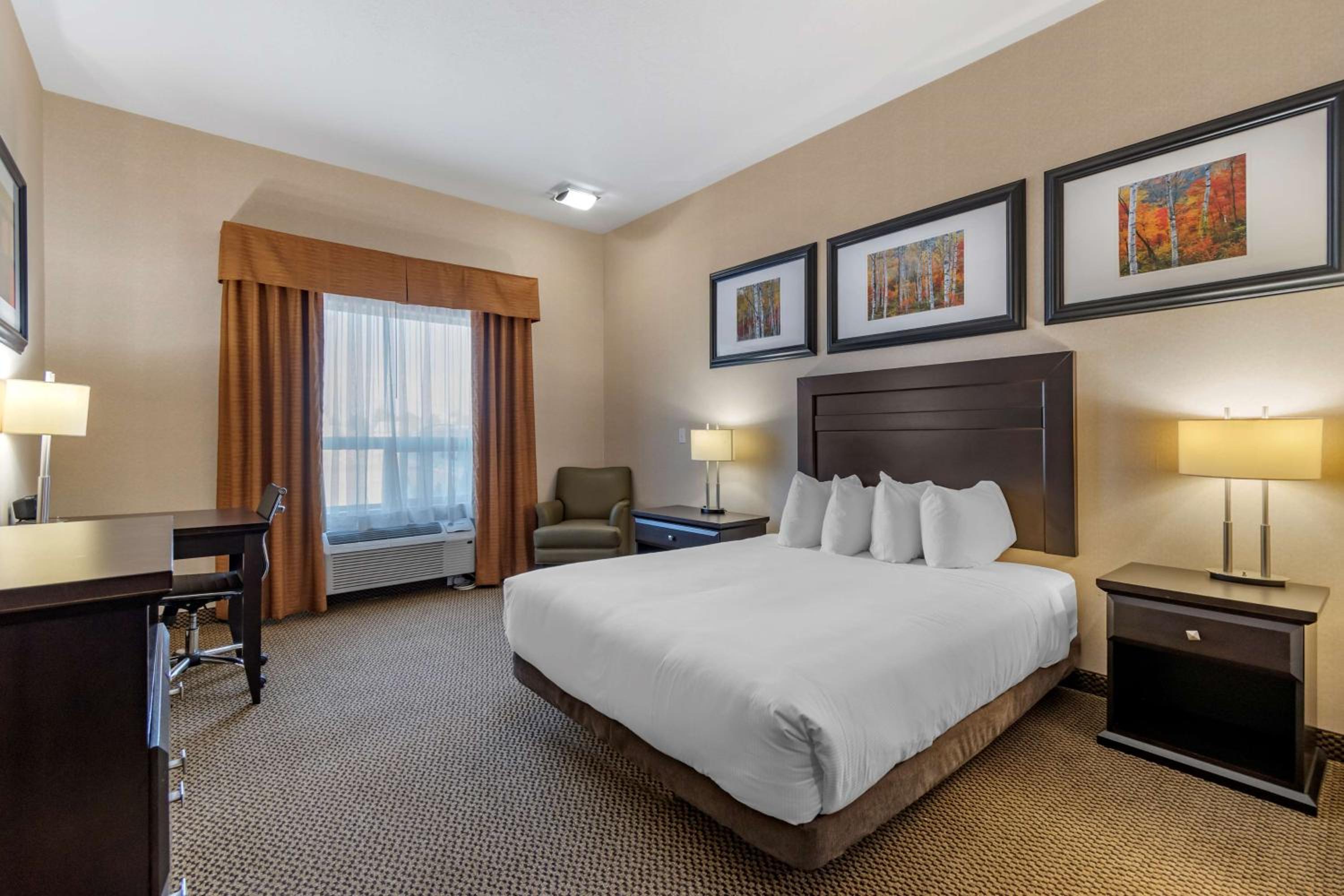 One-Bedroom Queen Suite with Sofa Bed - Non-Smoking
