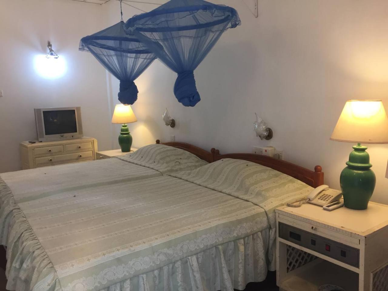 Twin Room with Terrace photo 3