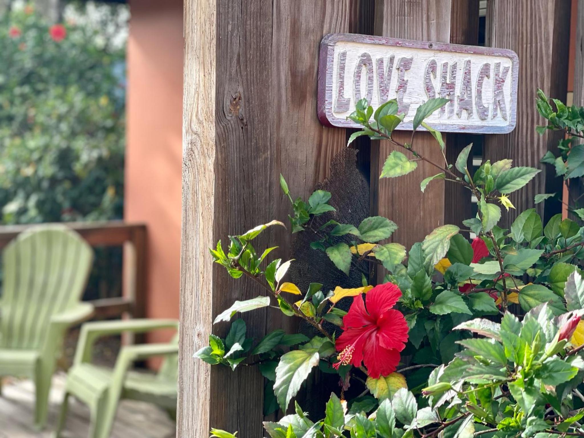 Casita (Love Shack) - Stand Alone Queen - 13+ photo 2