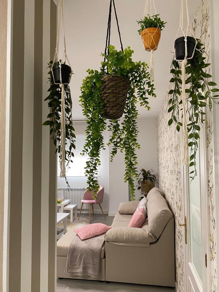 Apartamento - Planta Baja