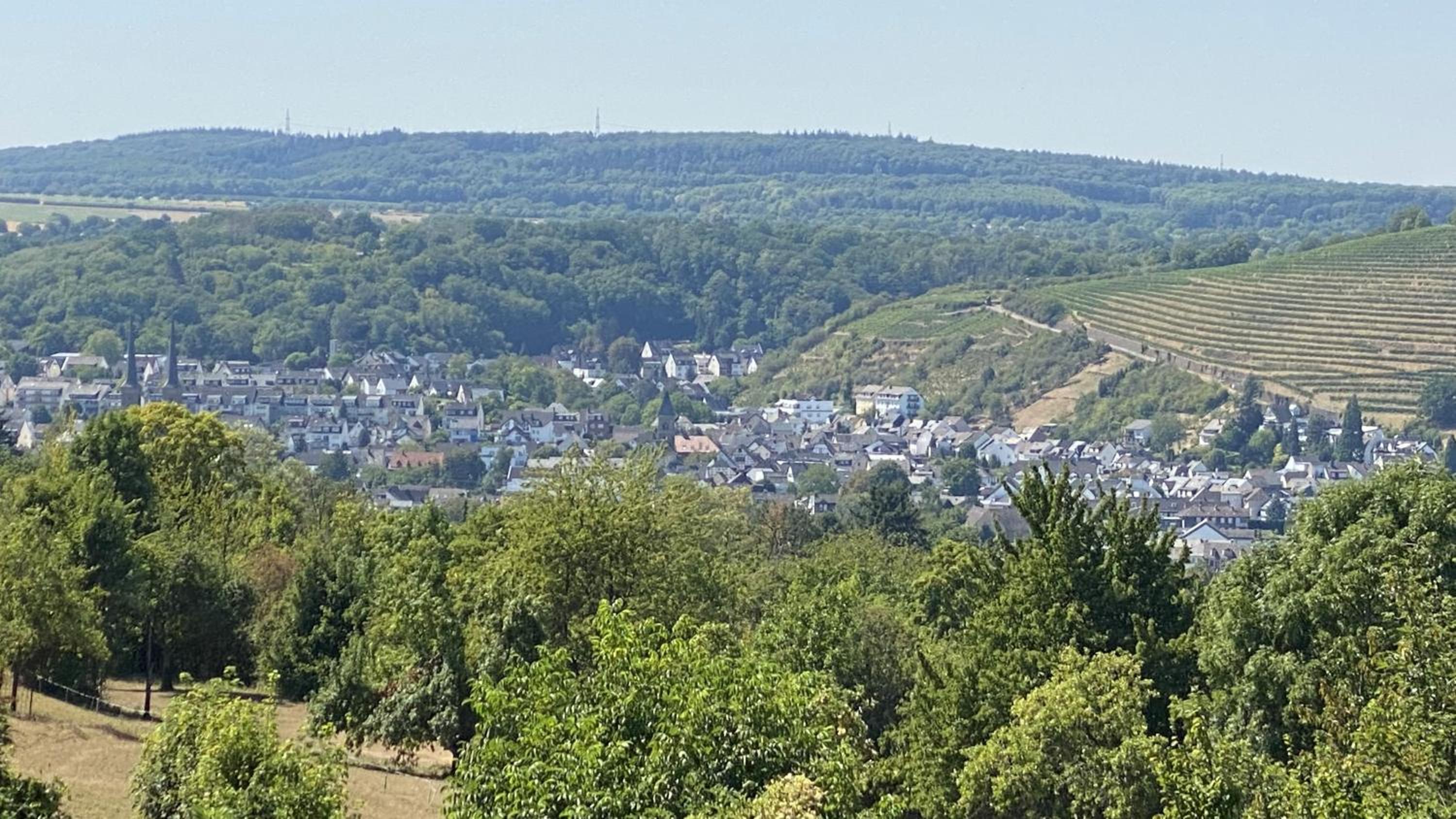 Apartment - Photo 33