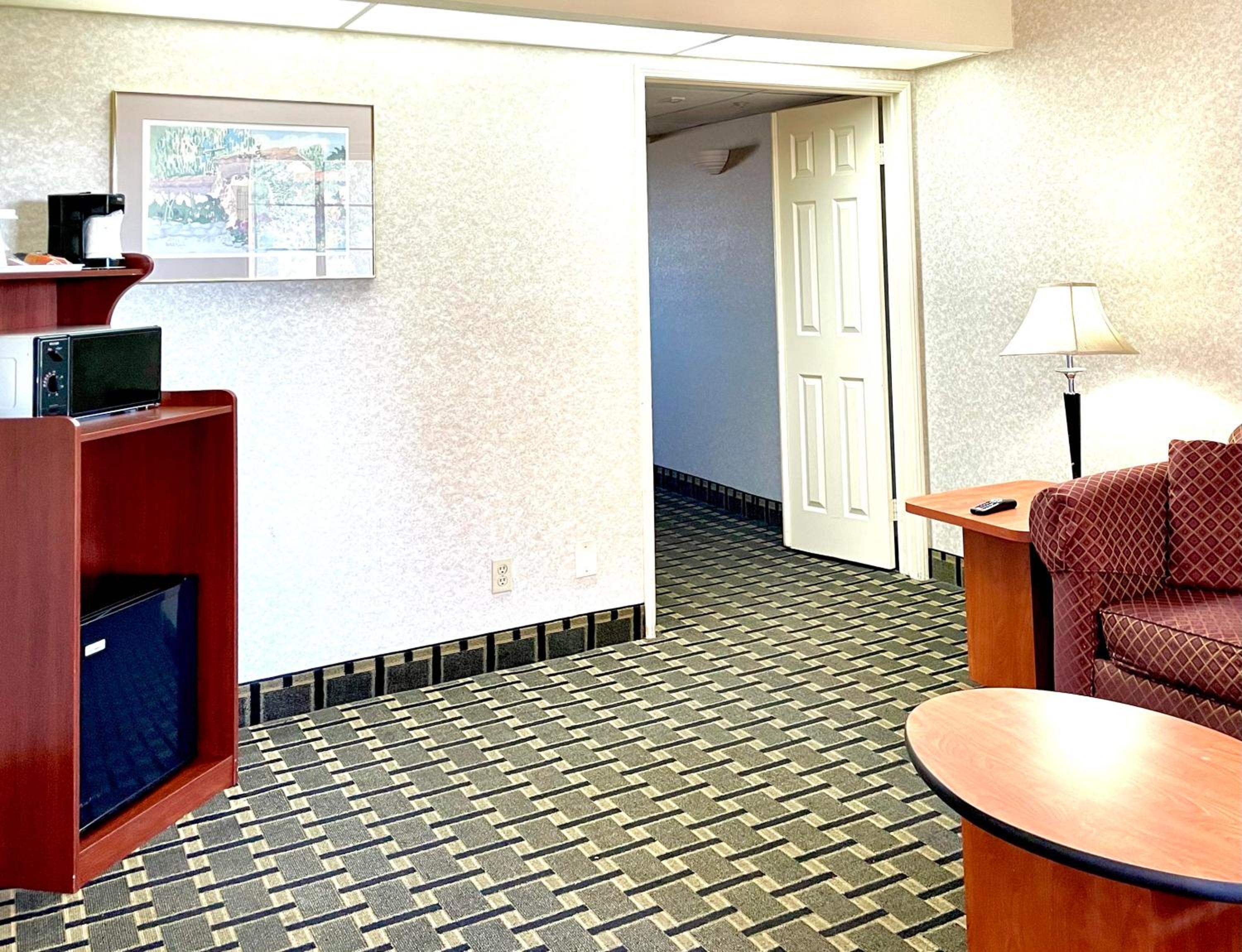 Deluxe King Suite - Photo 4