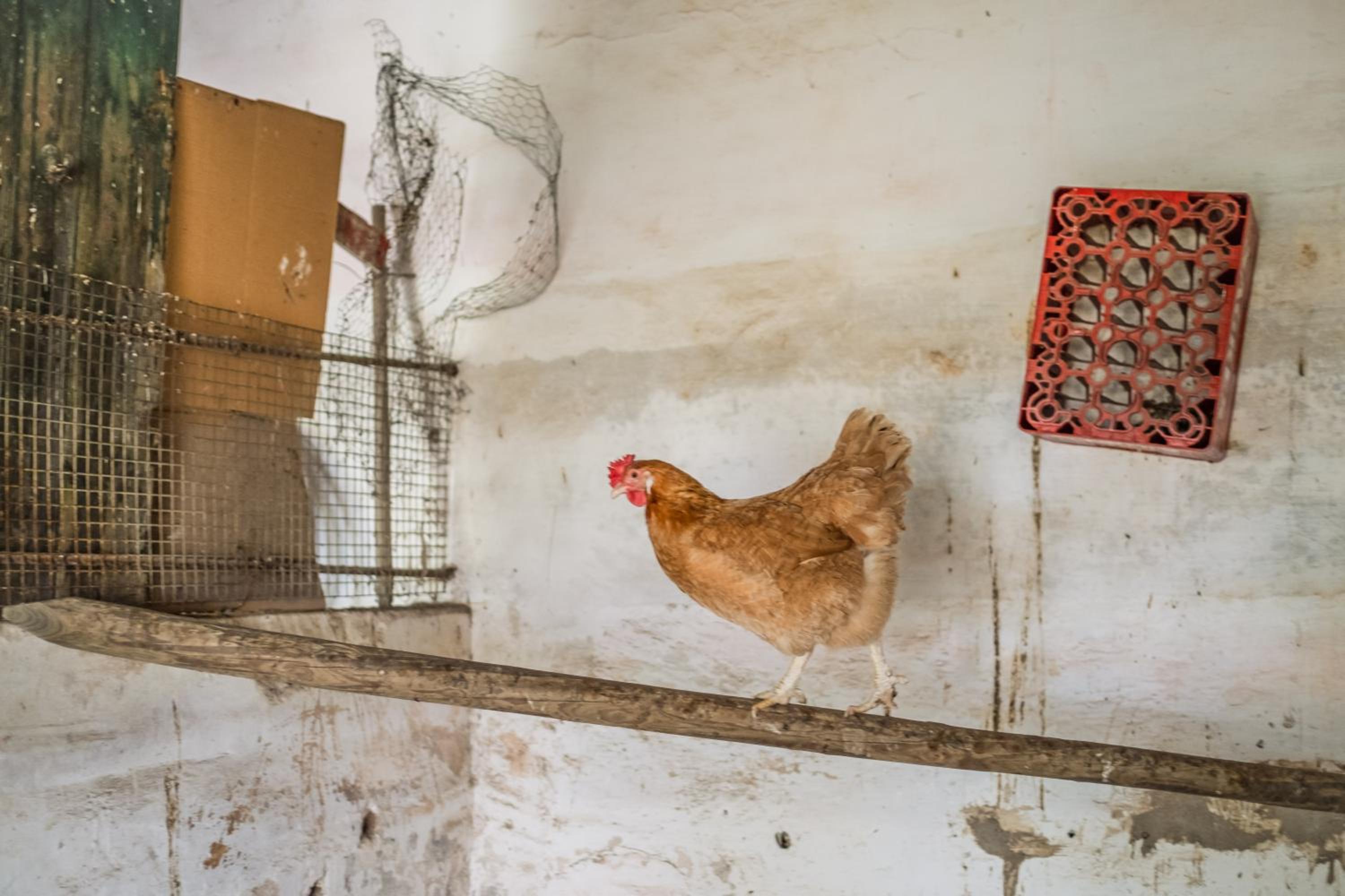 Double Room - Photo 58