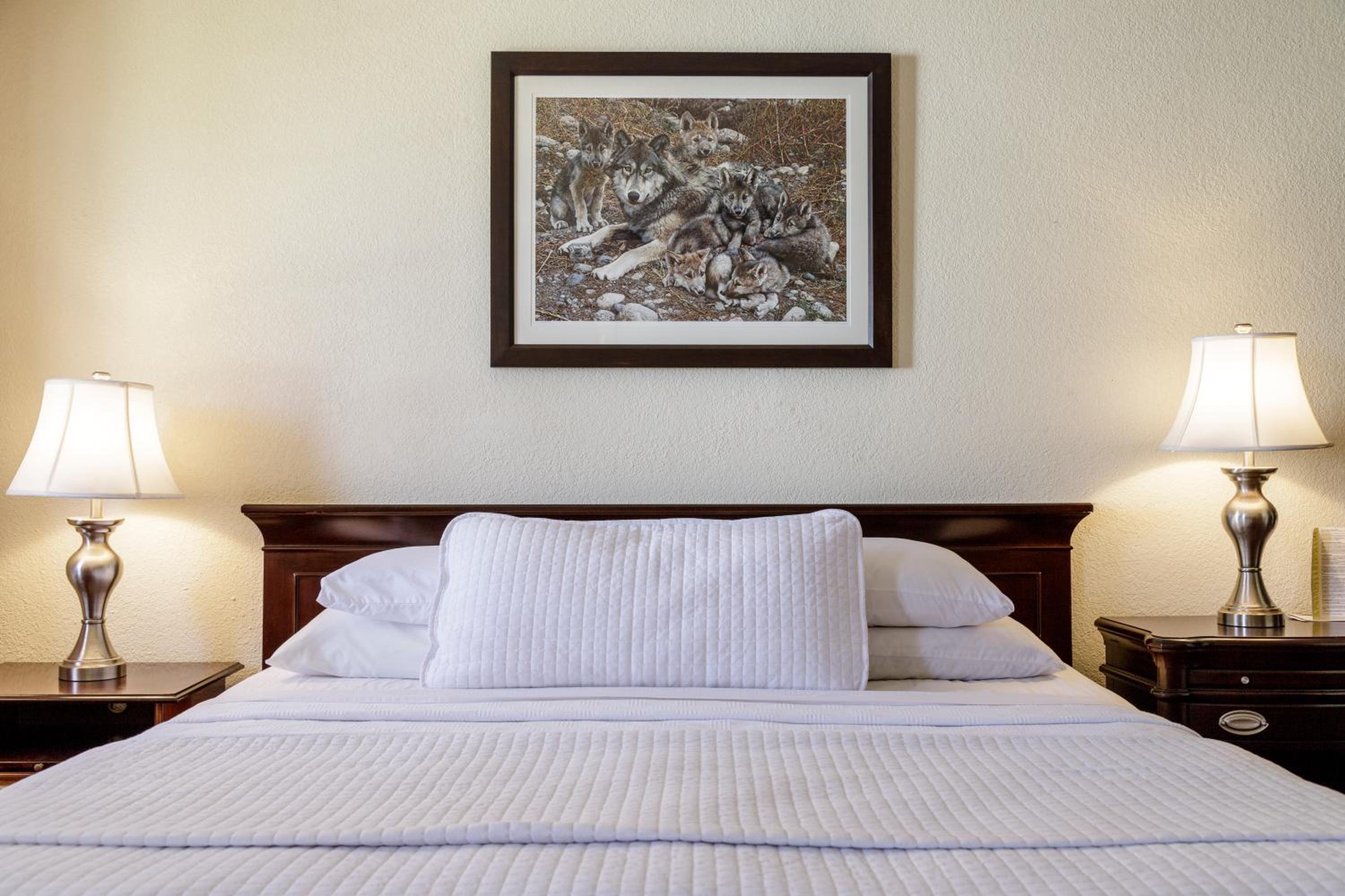 Superior King Room photo 2