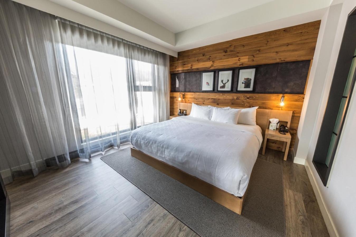 Signature Suite photo 2