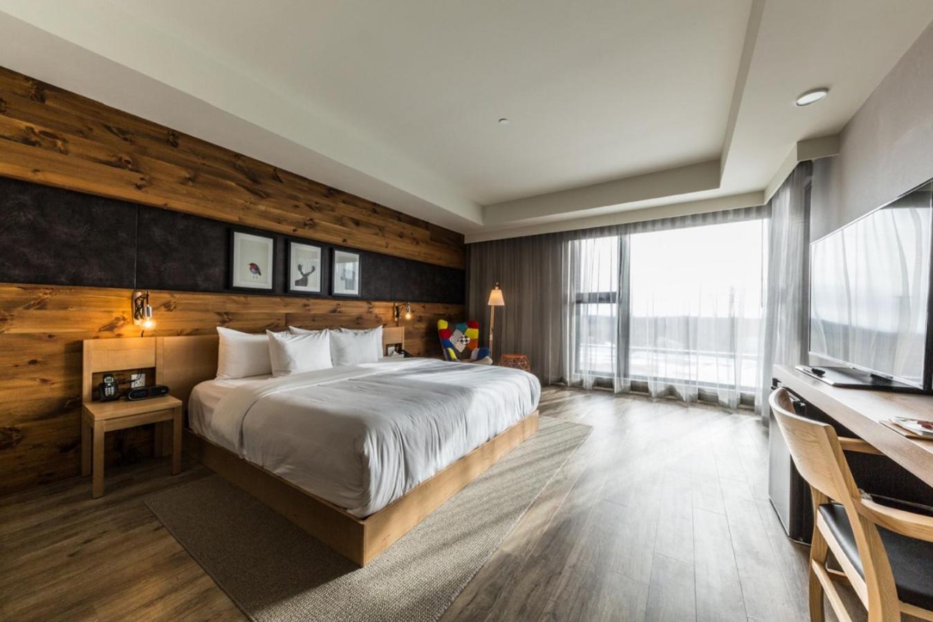 Business King Room photo 2