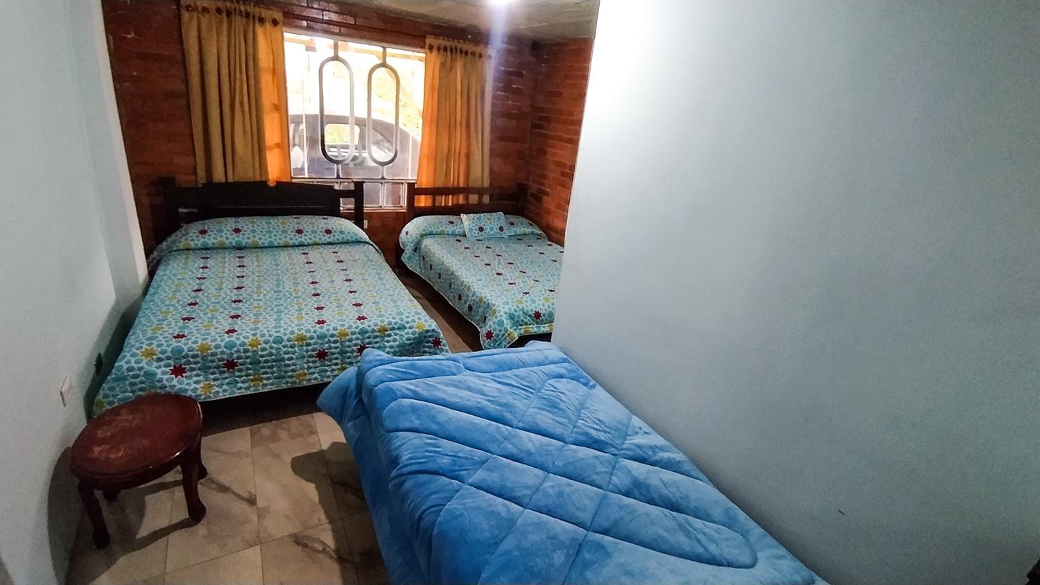Twin Room photo 1