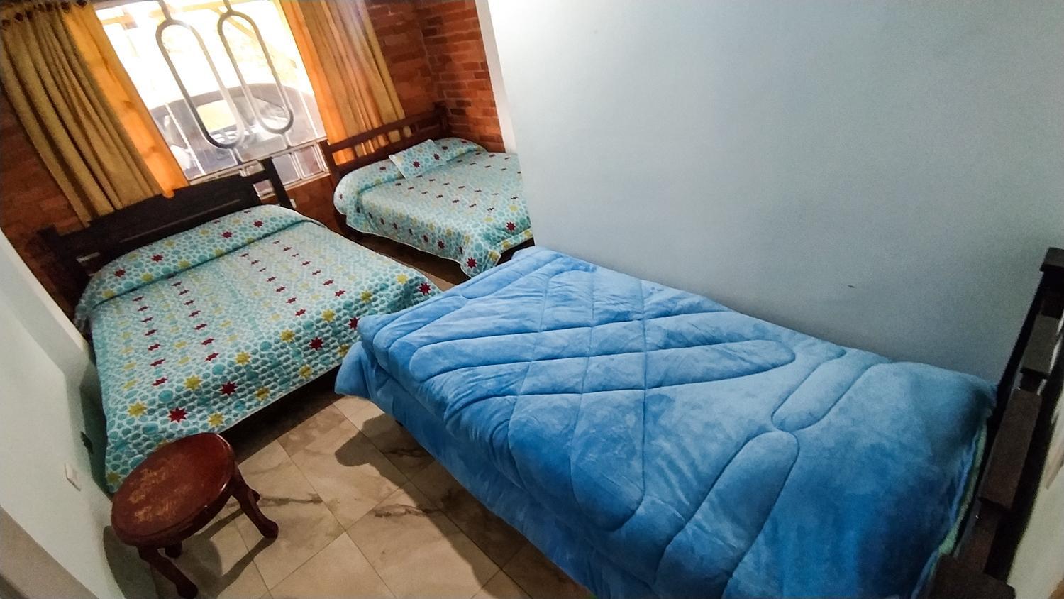 Twin Room photo 3