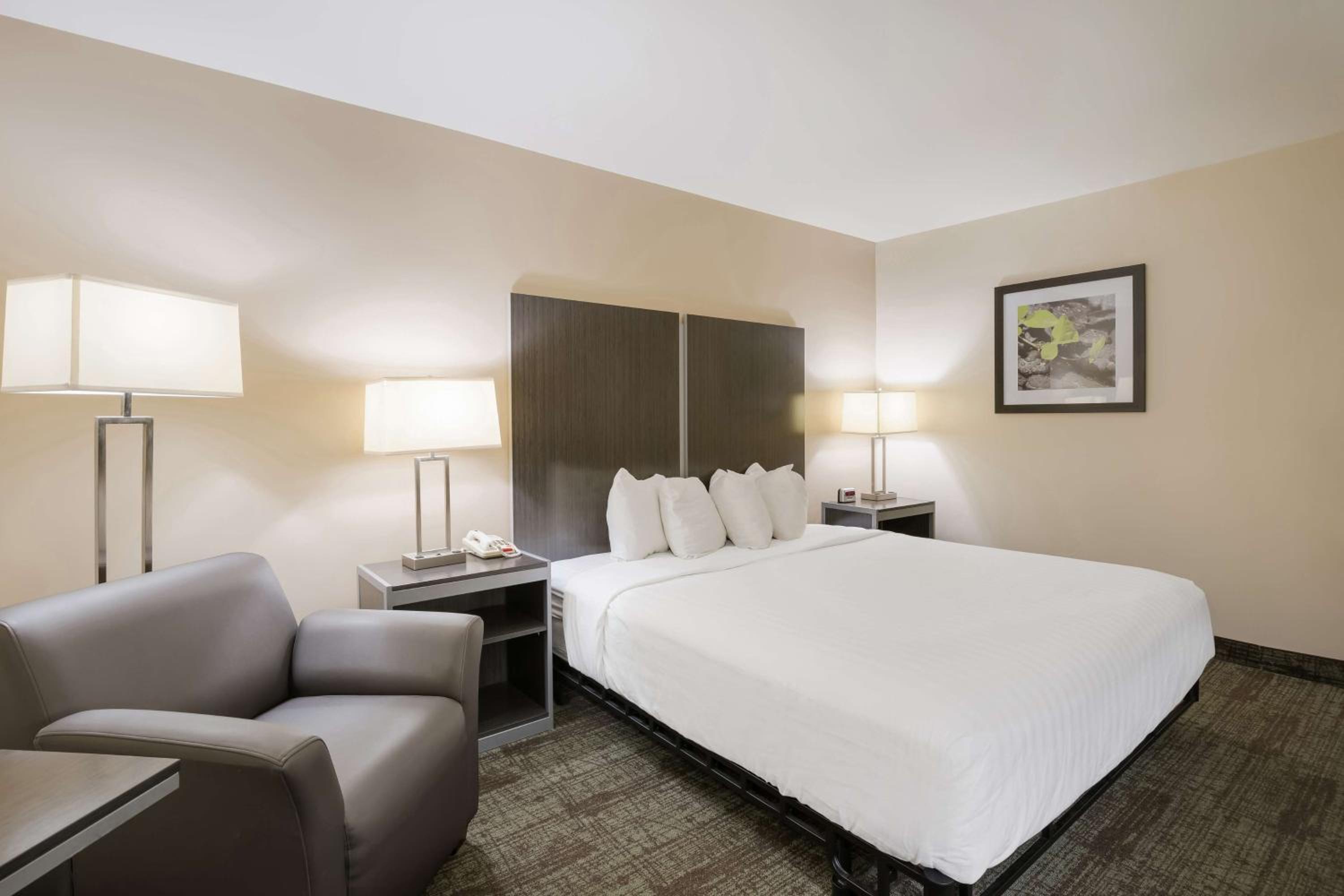 King Room with Roll-in Shower - Disability Access/Non-Smoking - Photo 1