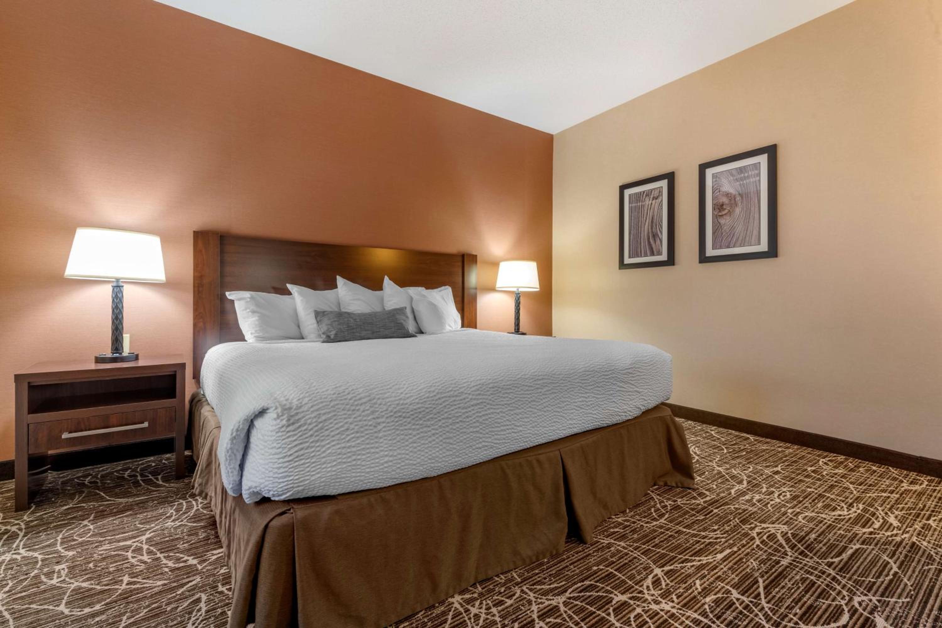 Two Room Suite with King Bed photo 1