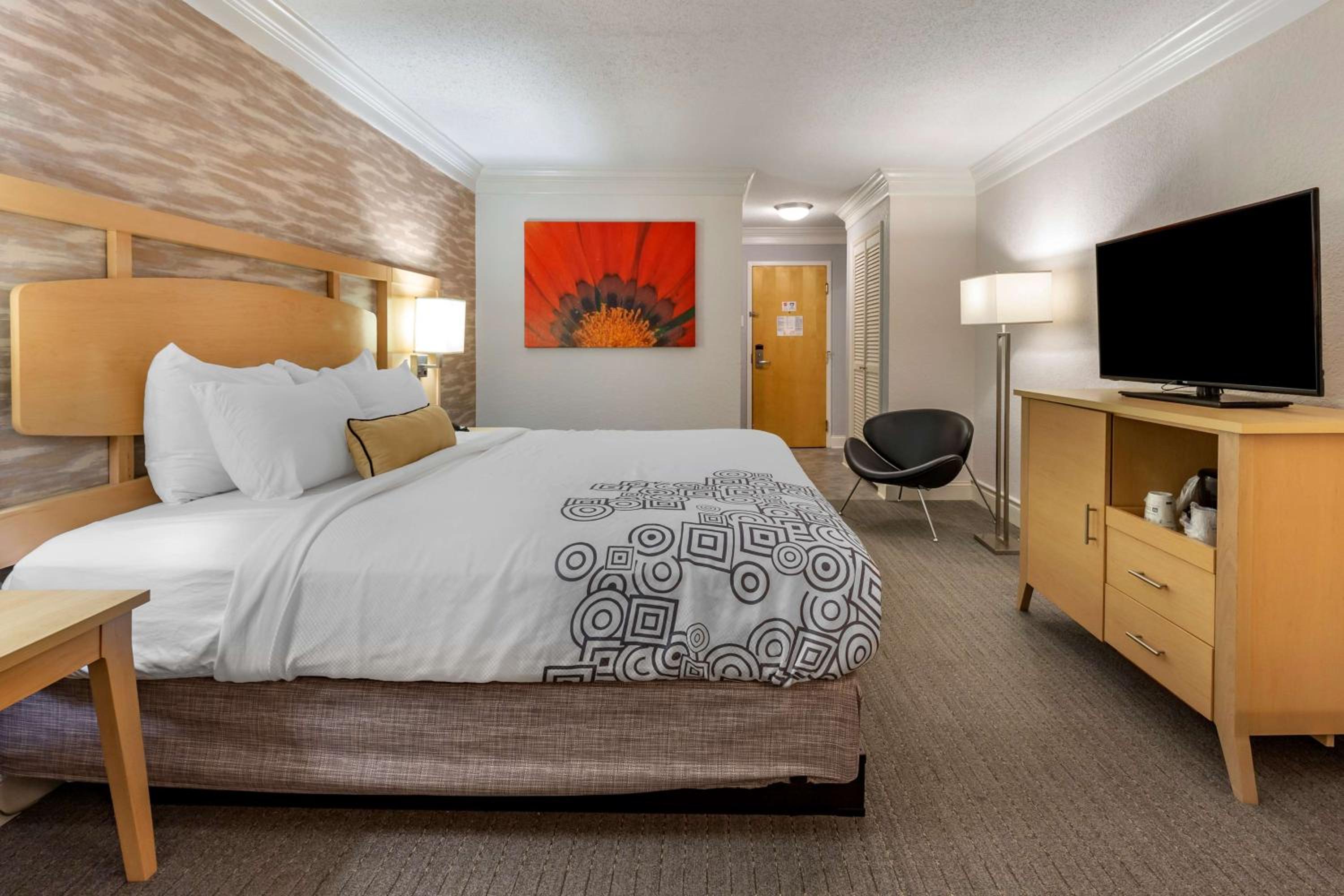 King Room - Non-Smoking photo 3