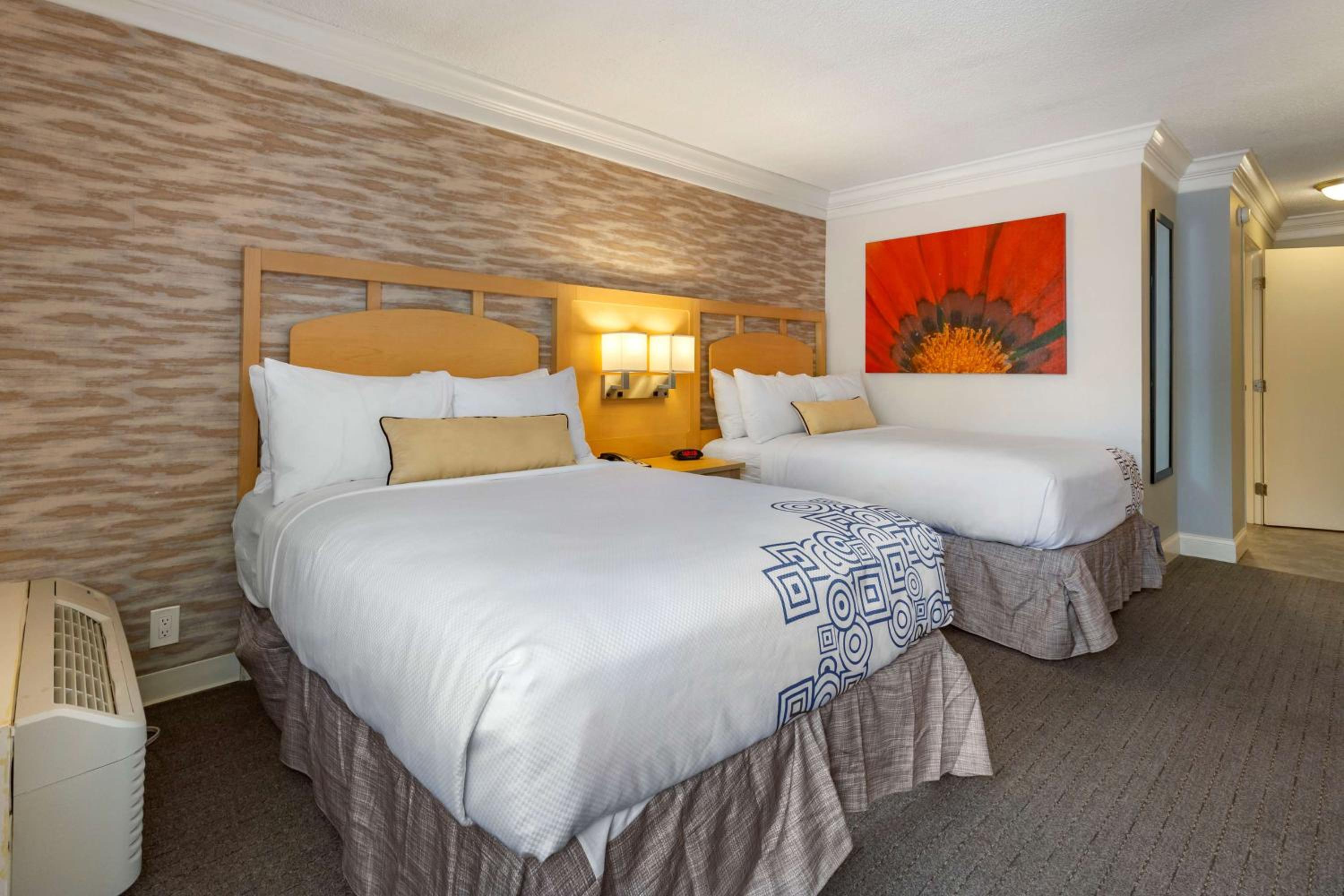 Double Room with Two Double Beds and Roll-In Shower - Disability Access photo 2