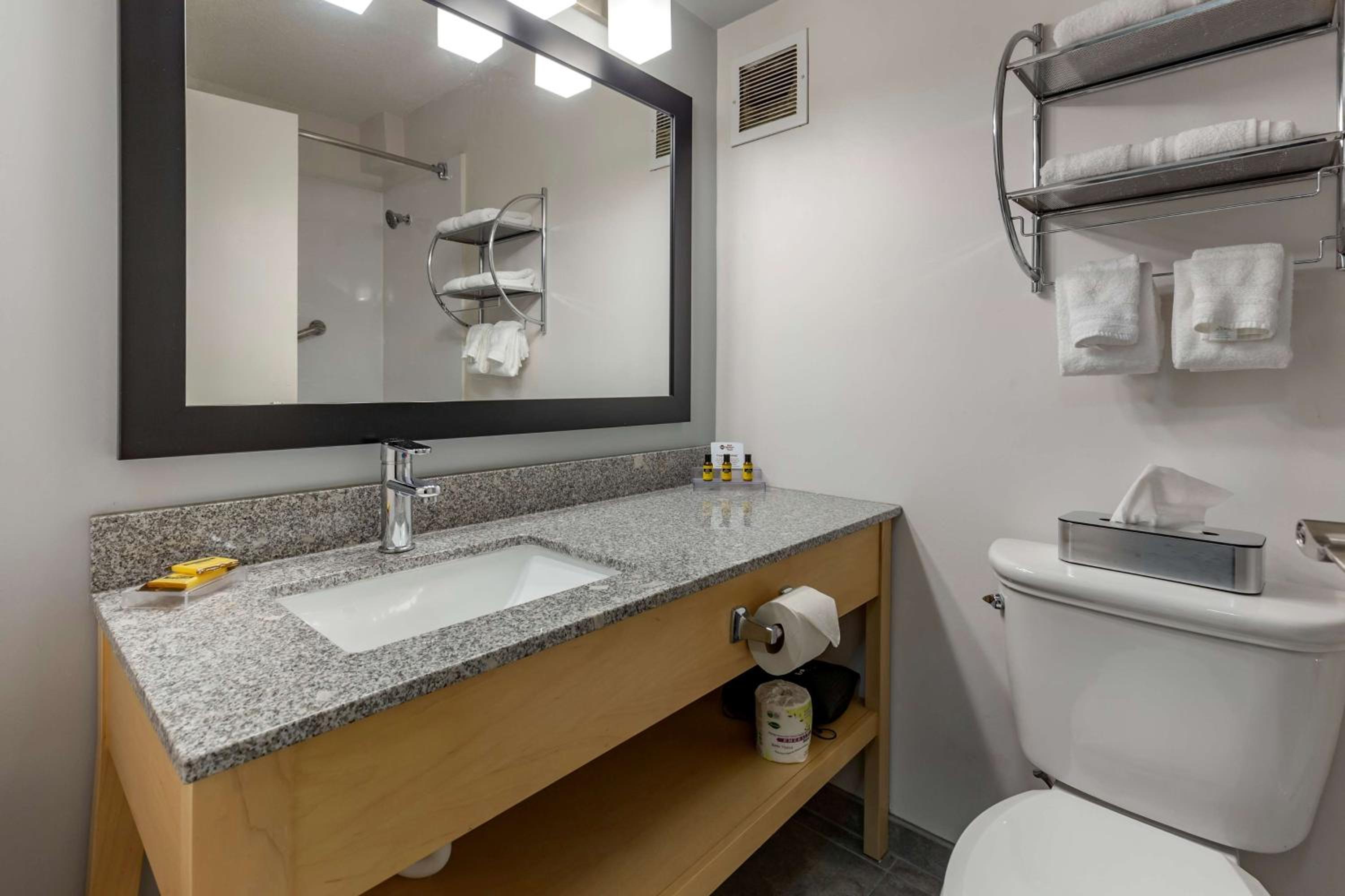 King Suite photo 2