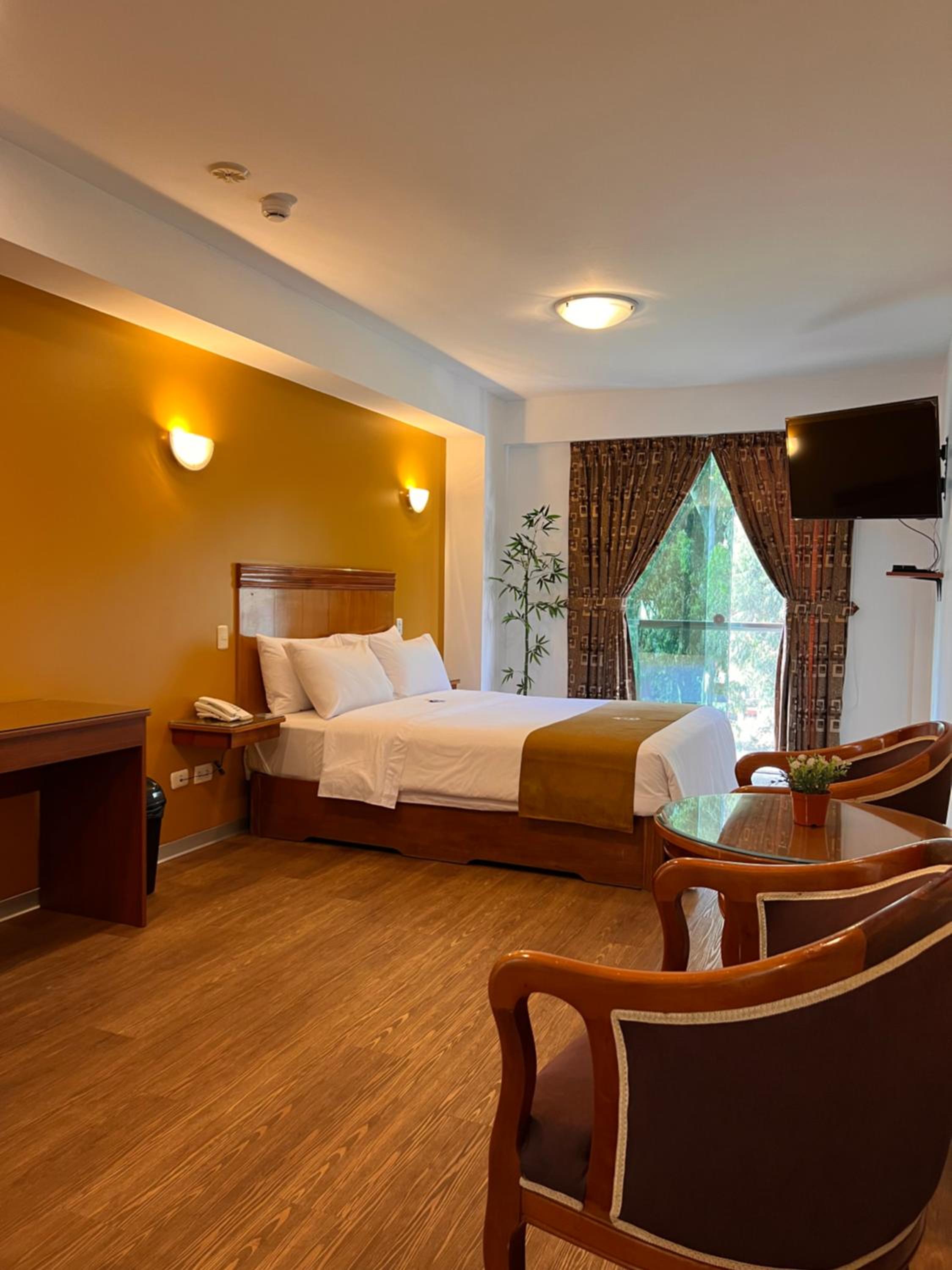 Deluxe Suite With Jacuzzi With Air Conditioning  And Park View