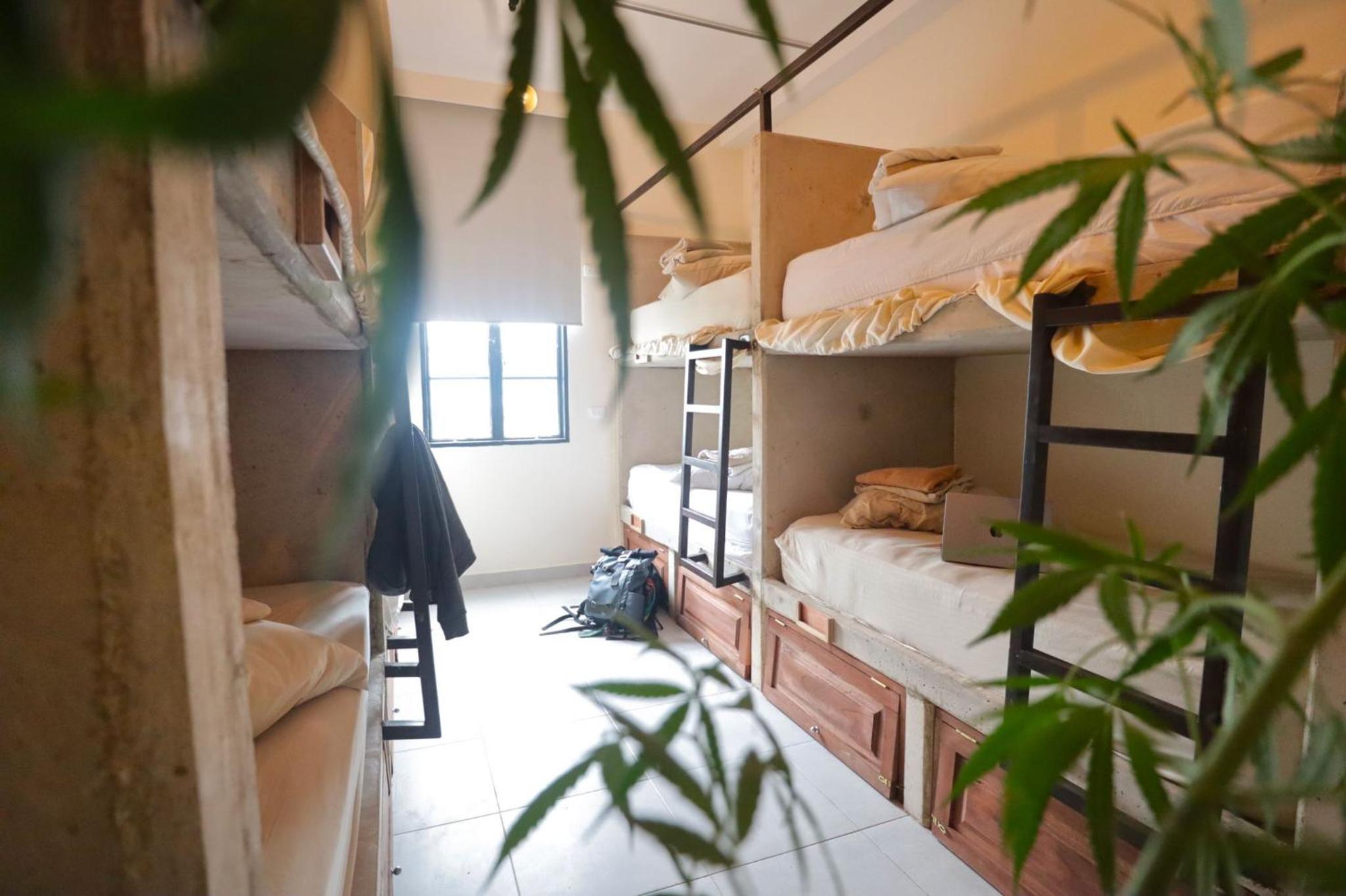 Bed in 8-Bed Mixed Dormitory Room photo 3