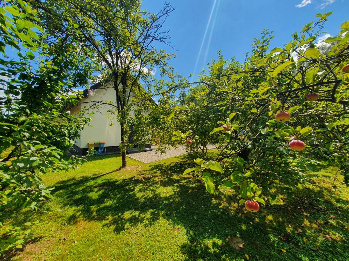 Two-Bedroom House - Photo 15