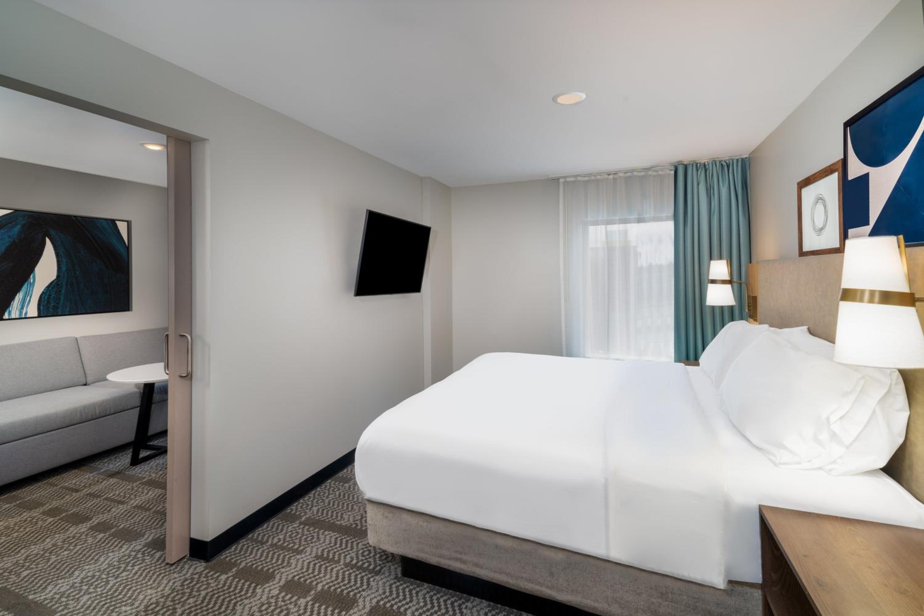 One-Bedroom King Suite with Sofa Bed - Photo 2