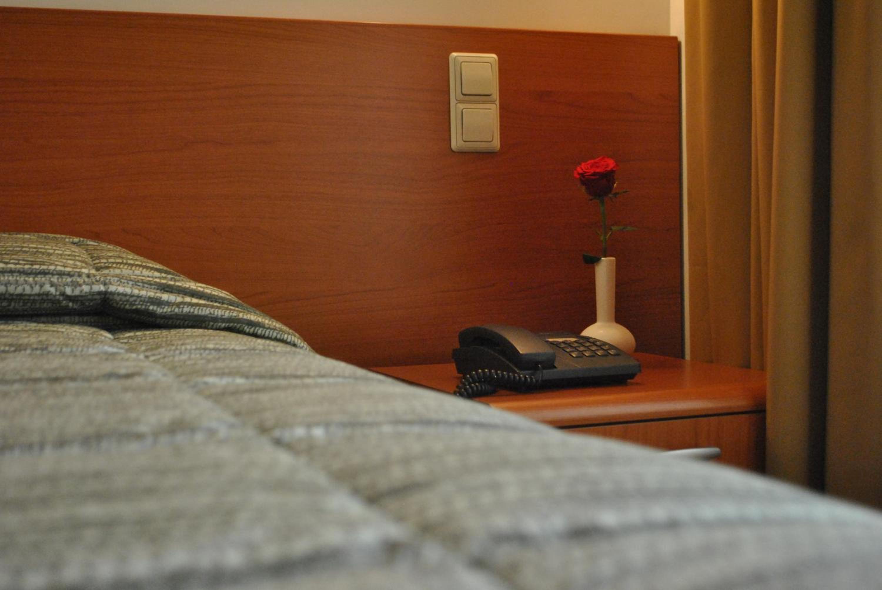 Single Room photo 1