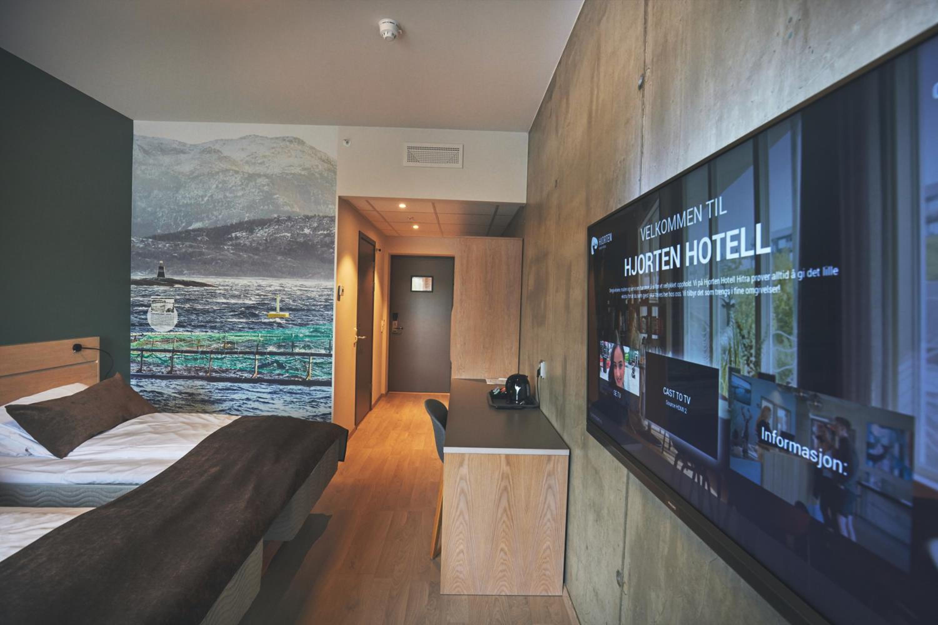 Standard Double or Twin Room photo 3