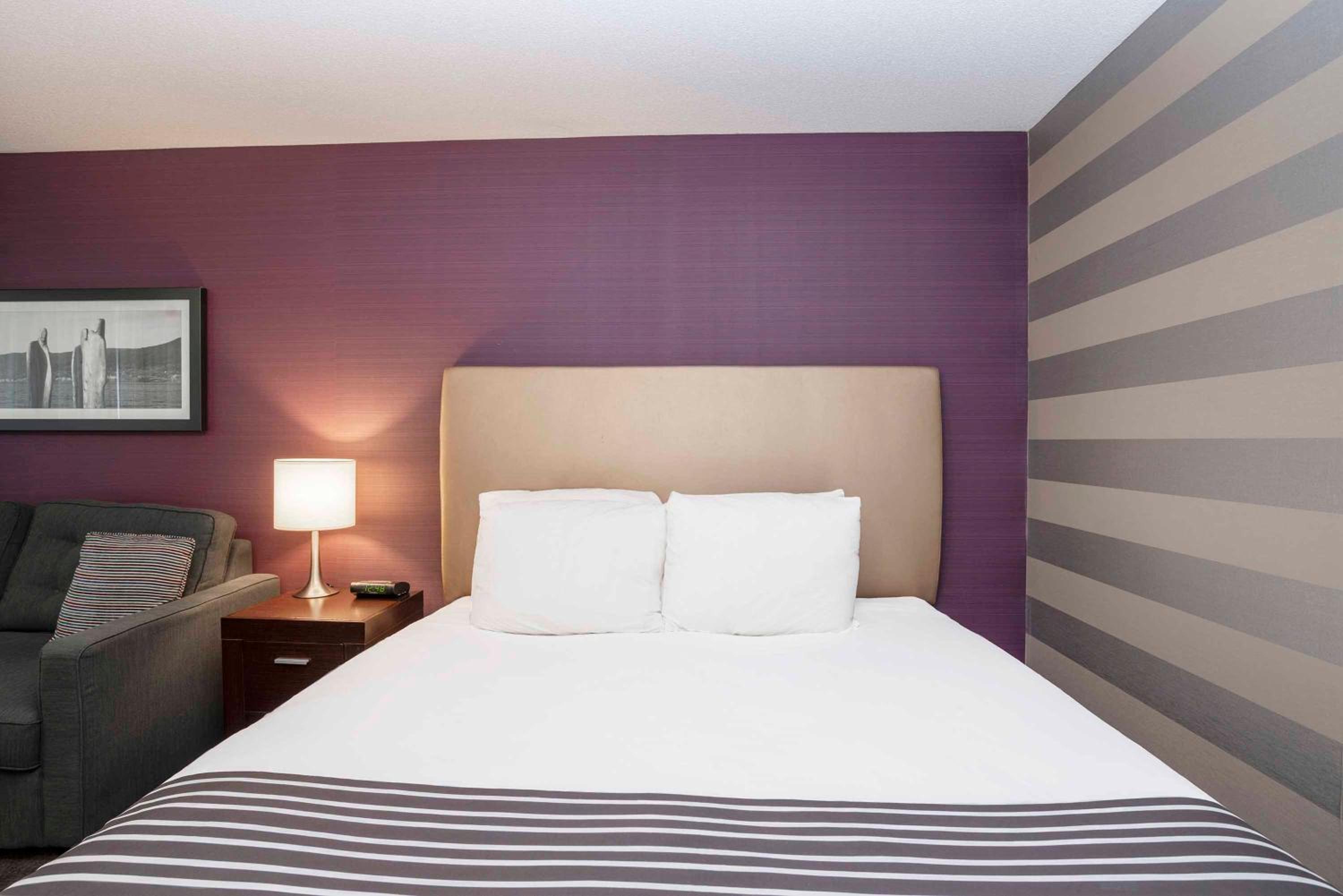 Standard Room, 1 King Bed, Sofa Bed - Photo 2