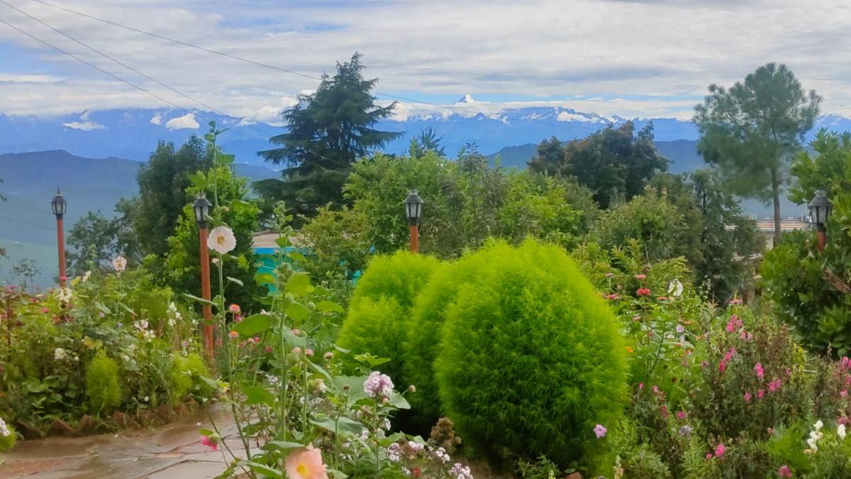 Double Room with Mountain View photo 3