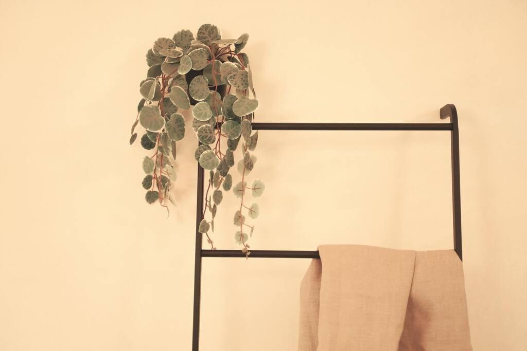 One-Bedroom Apartment - Photo 6
